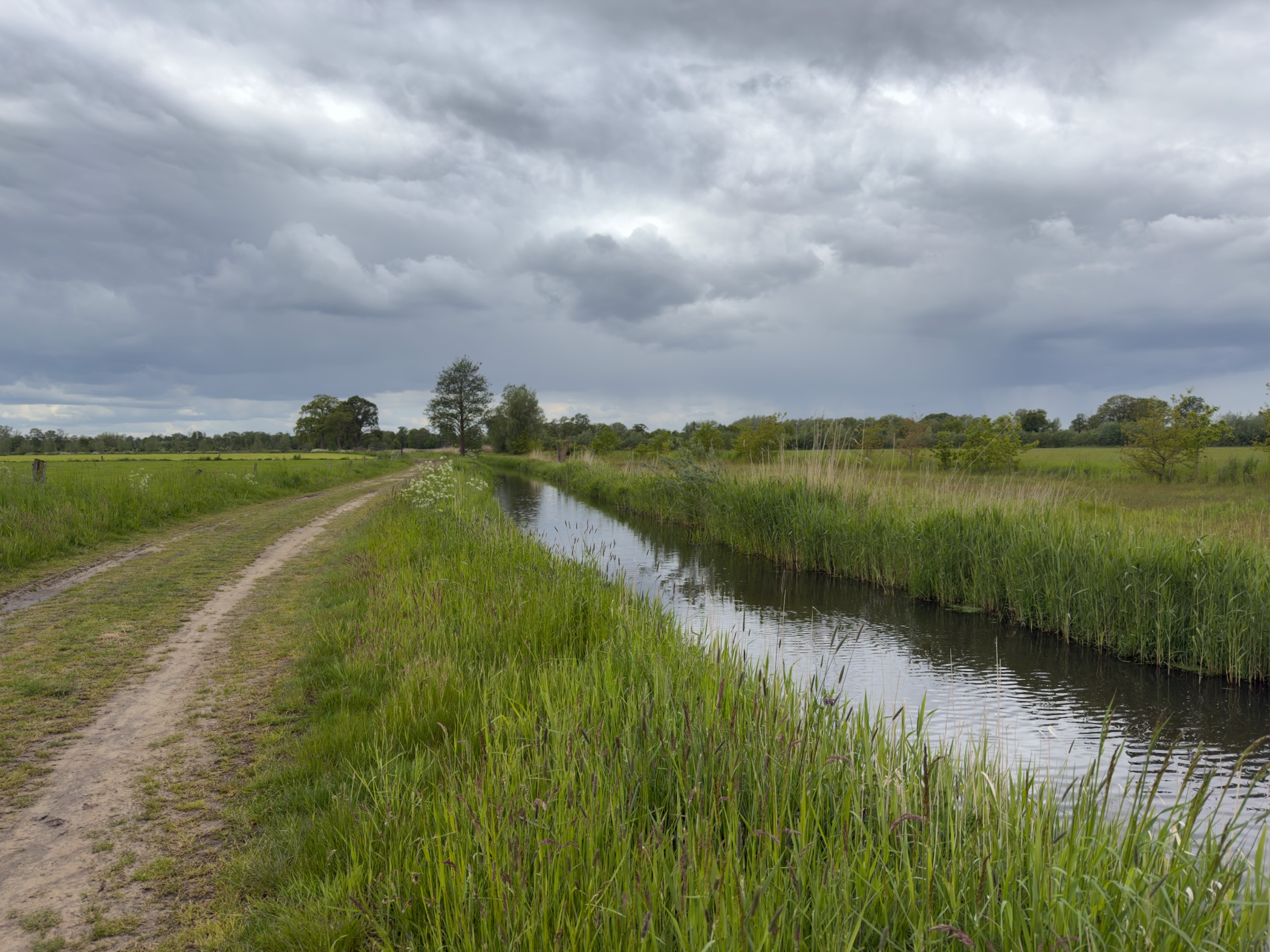 Sandy track running alongside a slow, reedy stretch of the Regge