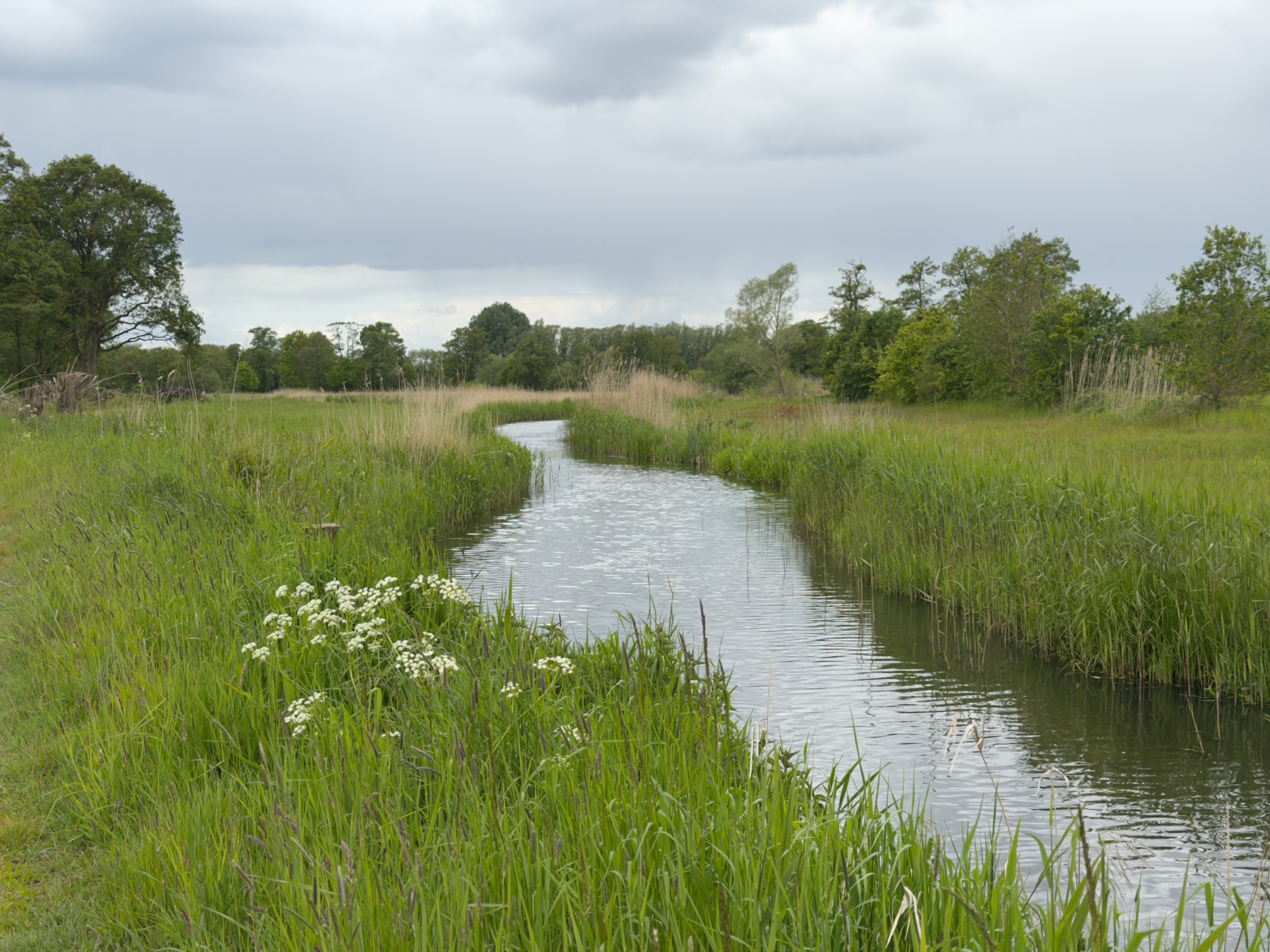 Reedy Regge stream meandering through wet meadows under heavy grey skies