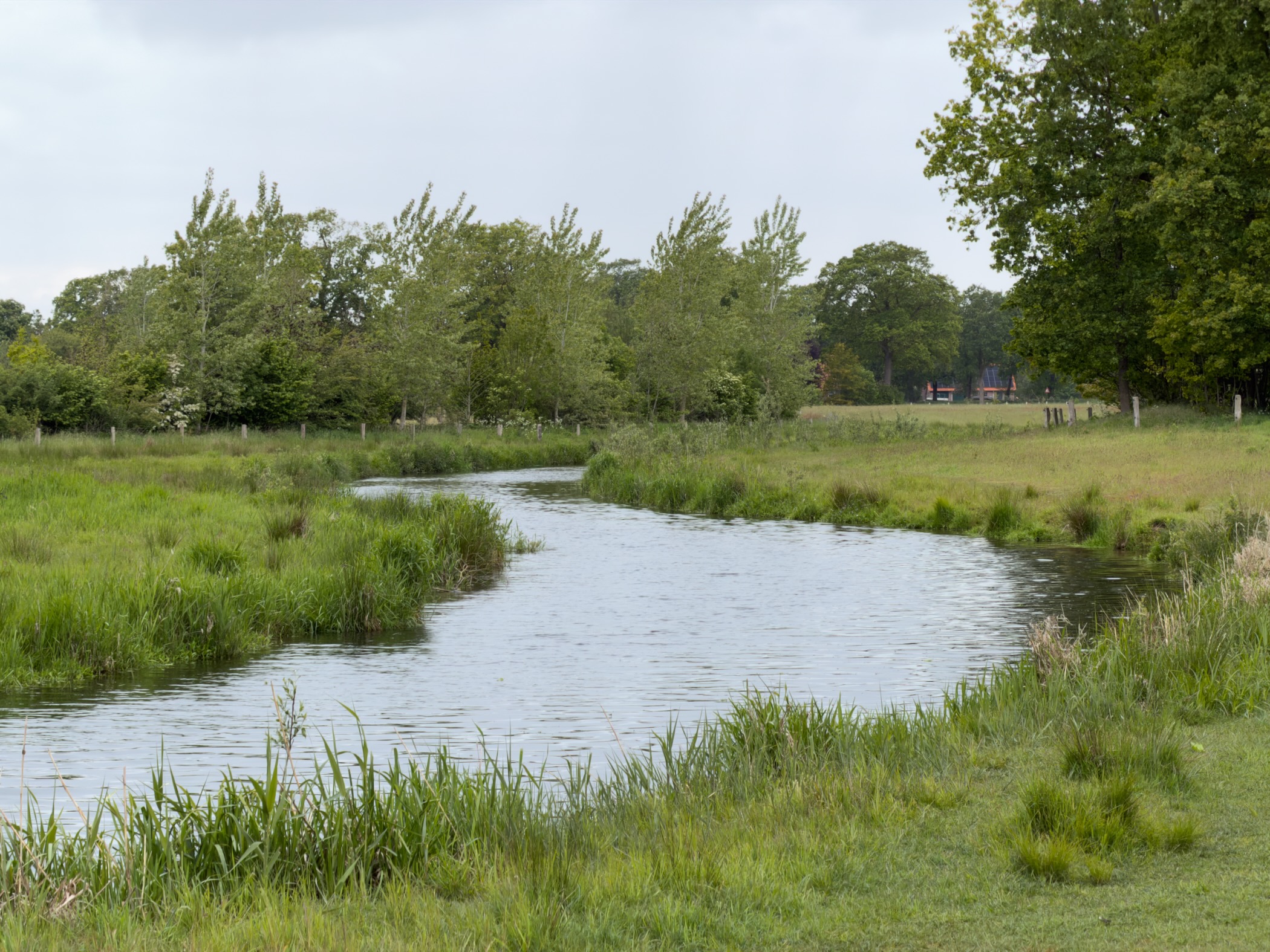 Curving stretch of the Regge with low grass banks and meadows on either side