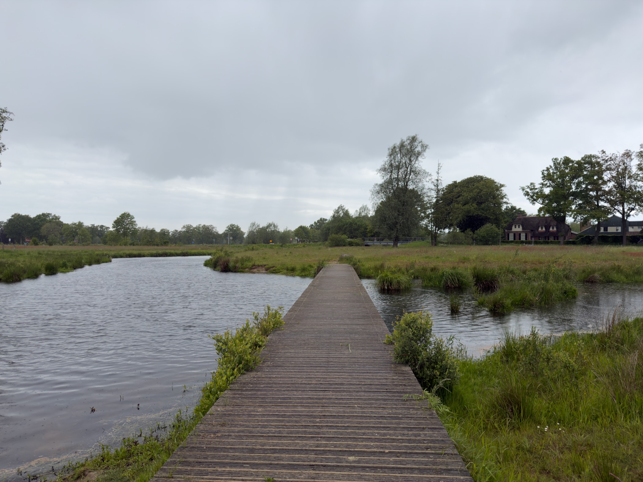 Long wooden boardwalk leading across wet meadow toward farmhouses under overcast sky