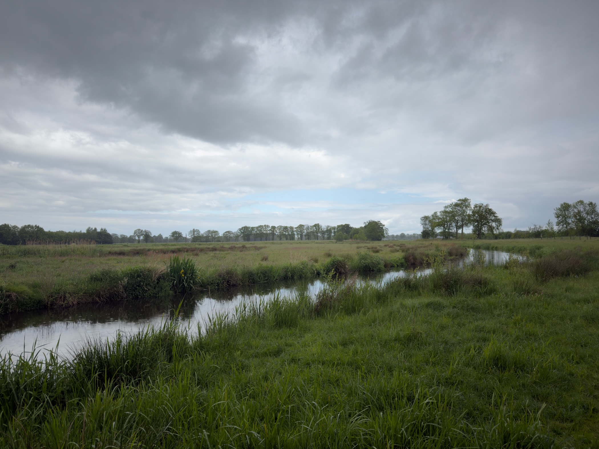 Wide low-lying Regge meadow with a winding stream and distant treeline under a stormy sky