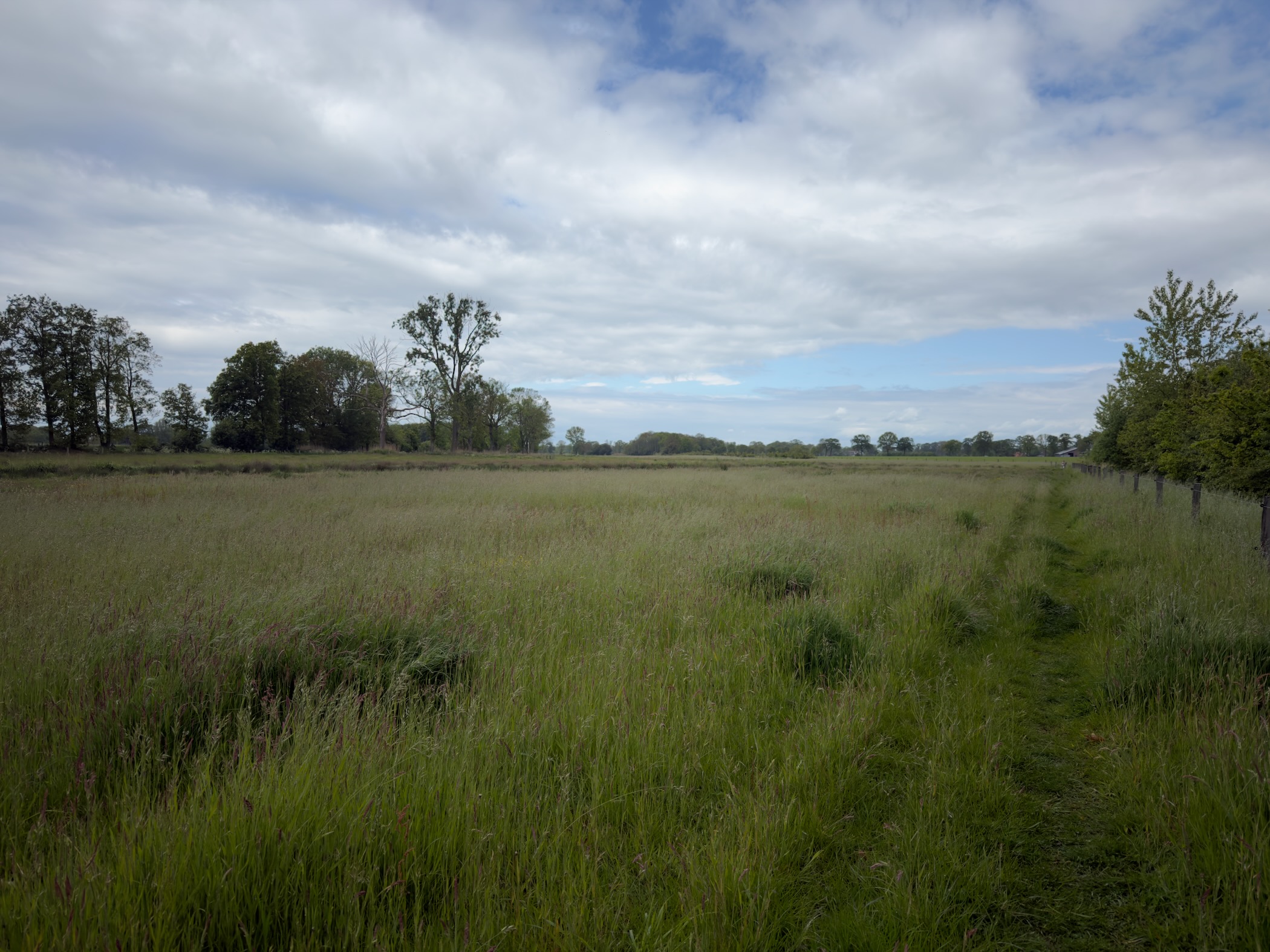 Faint mown trail beside a fence cutting through tall grasses of a wide wet meadow