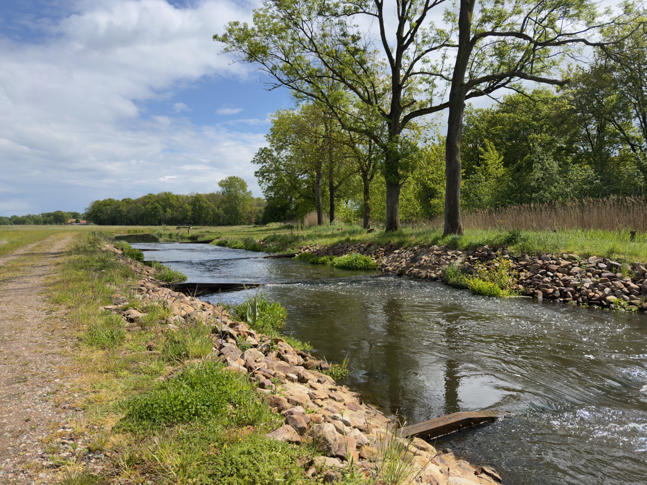 Reinforced banks of the Regge with stone rip-rap and oaks lining the right bank