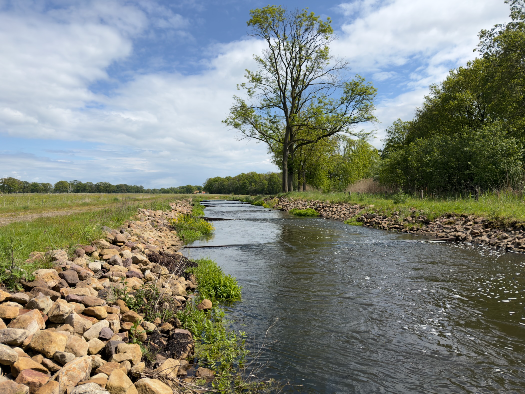 Channel of the Regge bordered by stone embankments with a solitary tree on the right