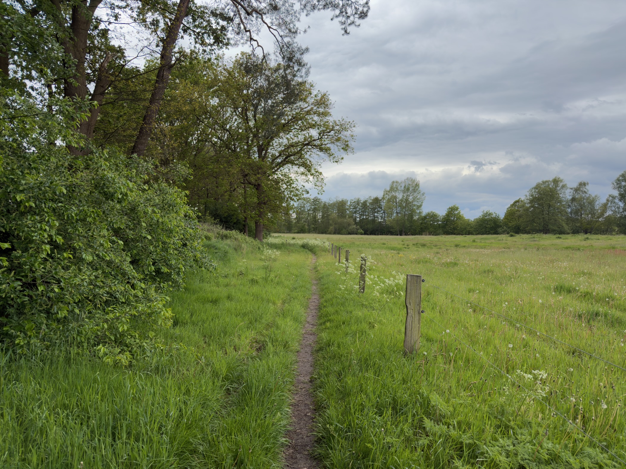 Footpath beside a fence with oaks on the left and open meadow on the right under heavy cloud