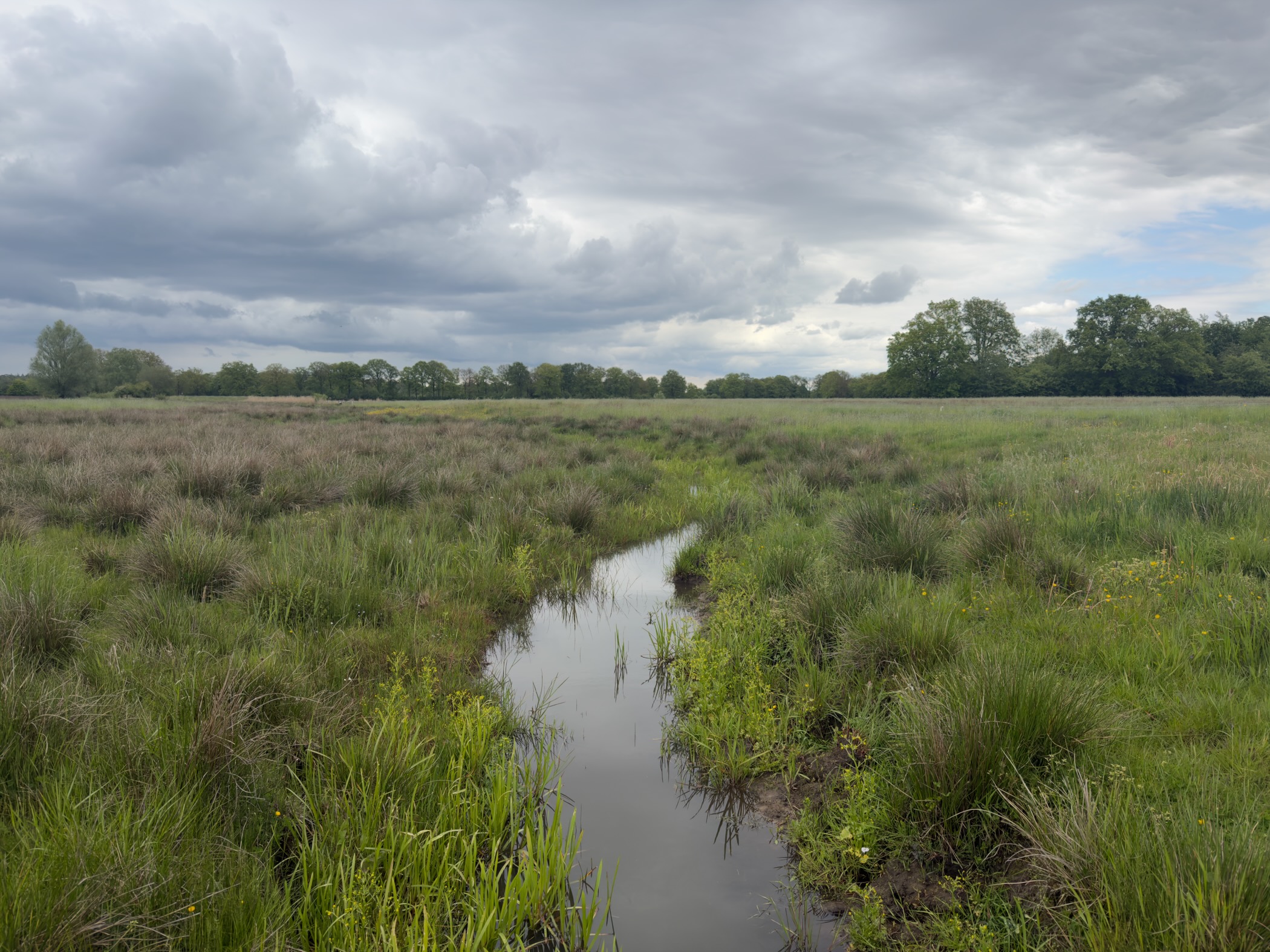 Narrow winding ditch crossing a wet meadow under a steel-grey sky