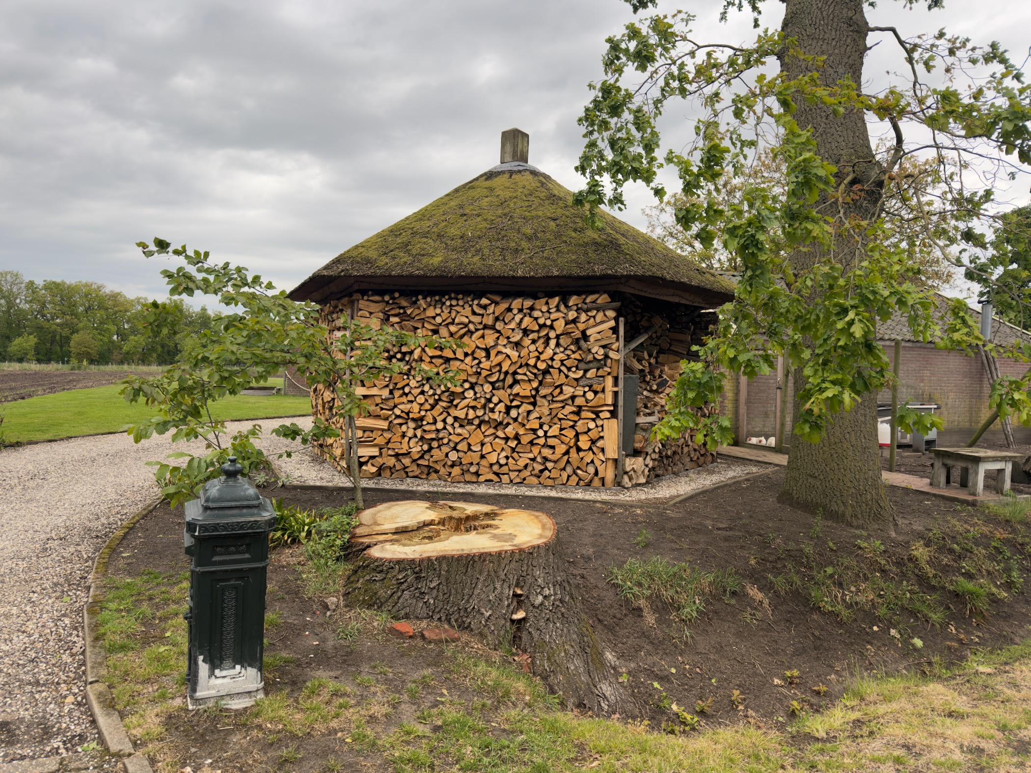 Round thatched-roof firewood store beside a fresh tree stump near a farm