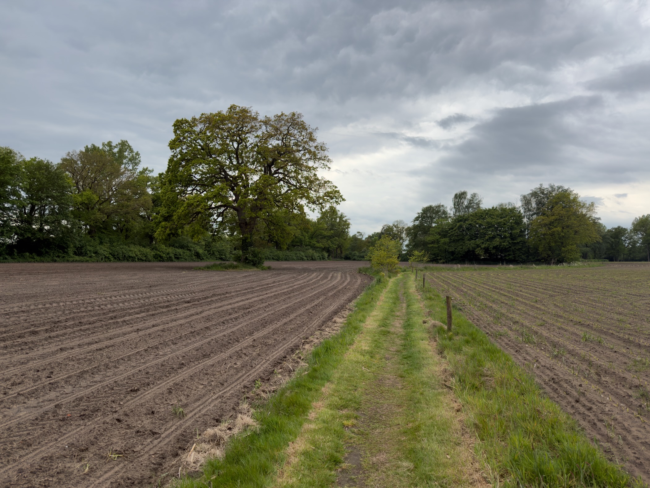Brown furrowed field with a strip of grass between two ploughed sections under heavy cloud