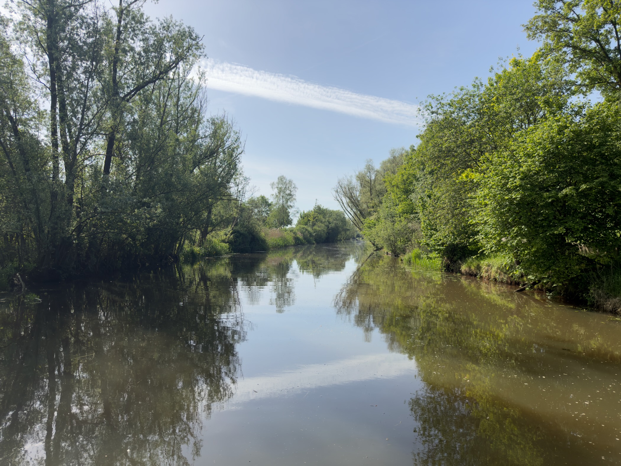 View along the river Regge with tree reflections in the still water
