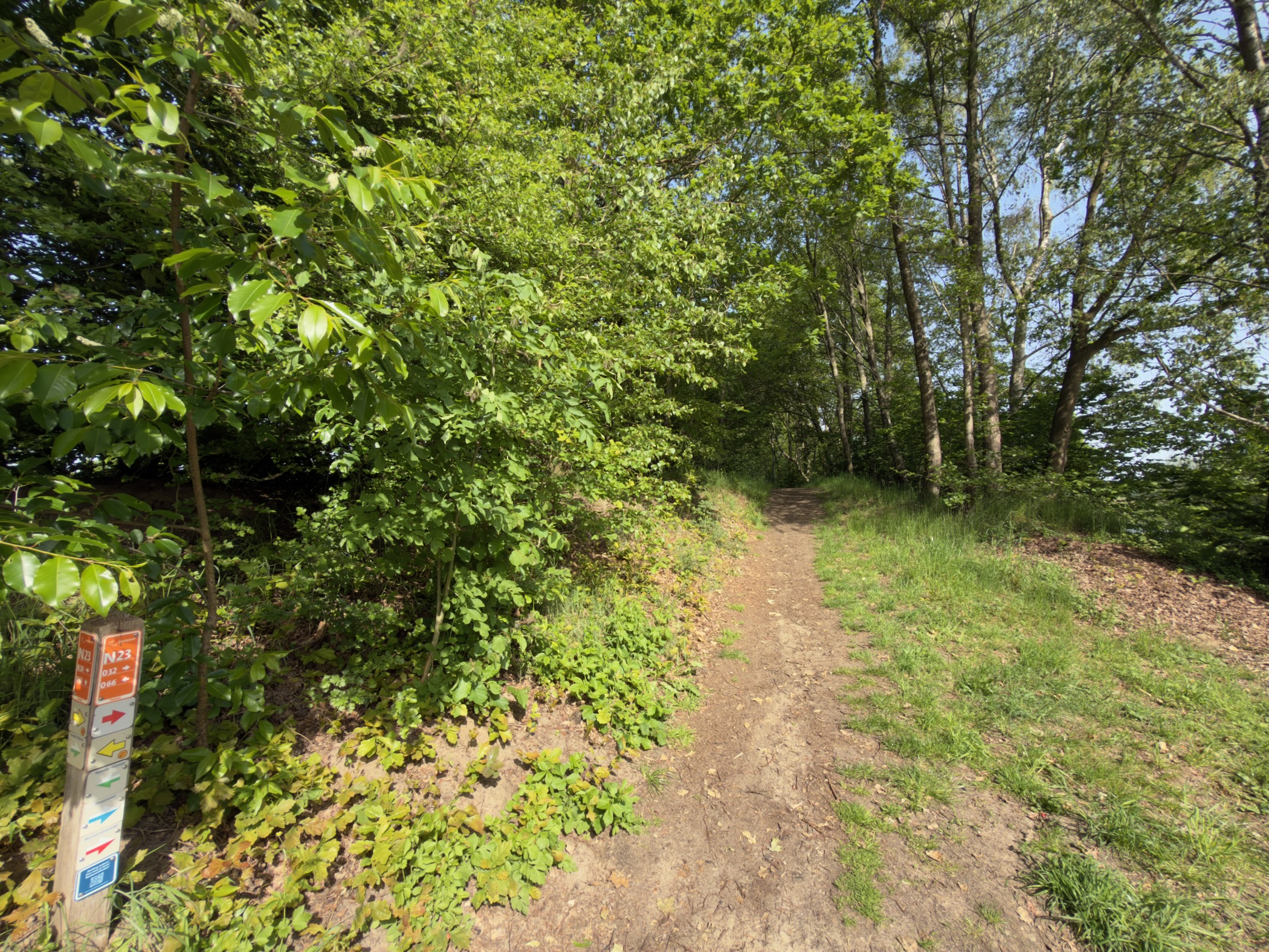 Dirt path climbing gently through woodland with a small route marker on the left