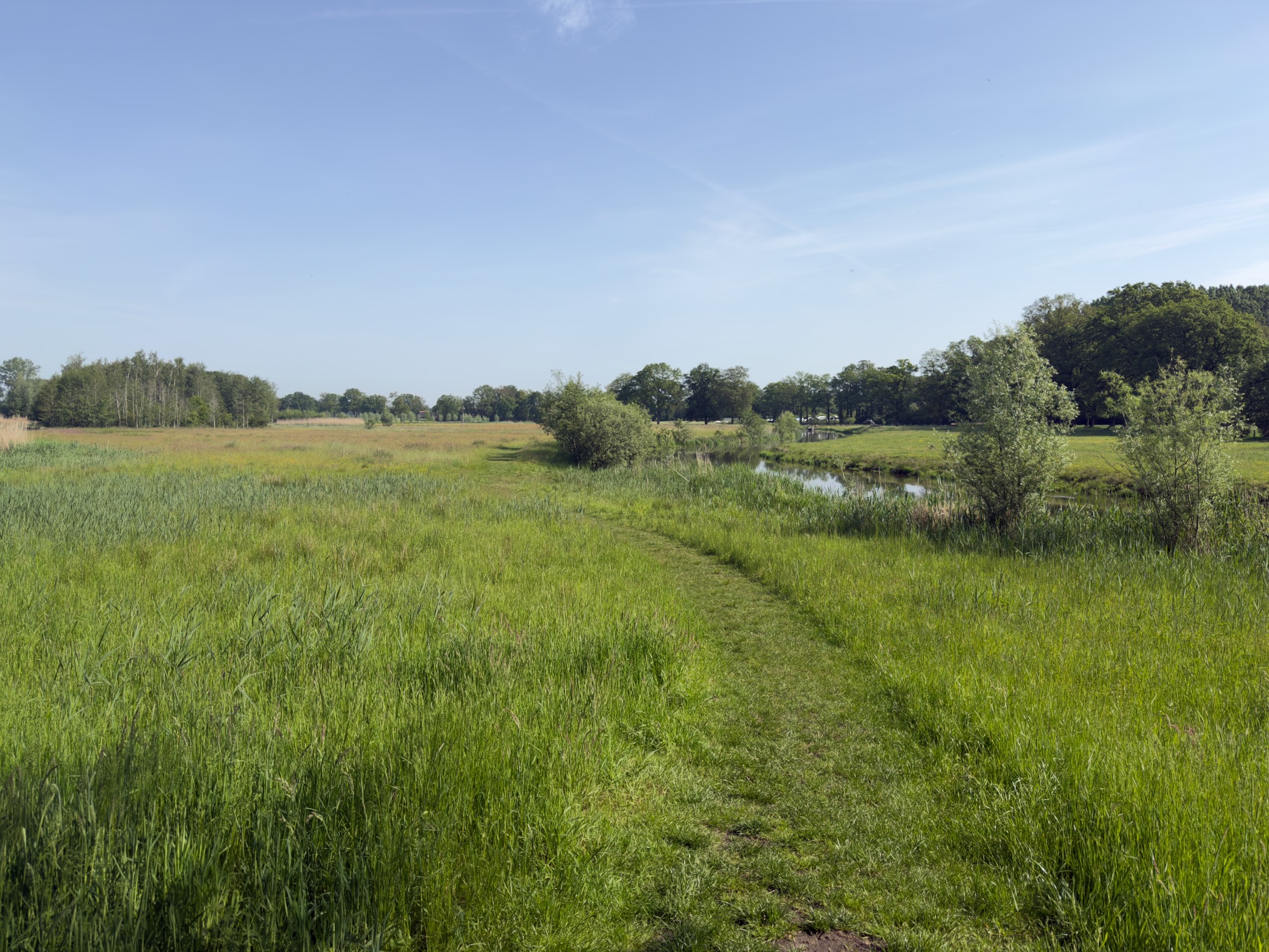 Open grassy meadow with a curving mown path and a small pond on the horizon