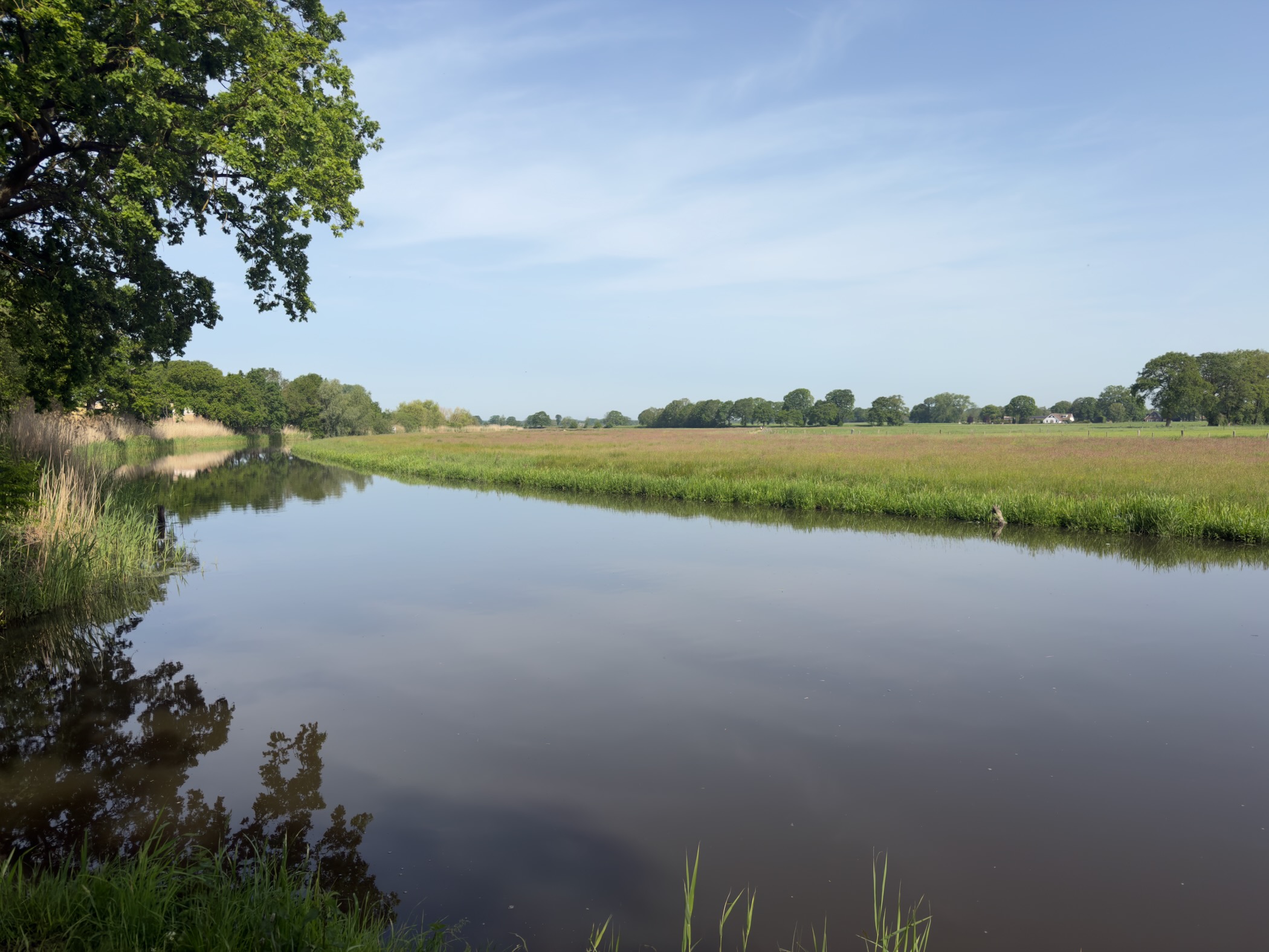 Wide bend of the Regge reflecting the sky, bordered by reeds and meadow