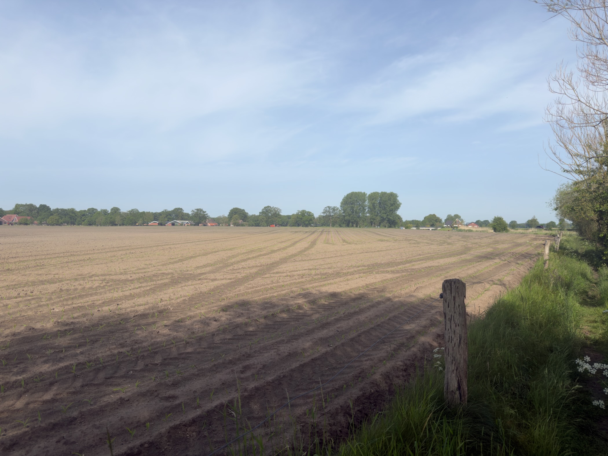 Freshly ploughed brown field stretching to a row of farms and trees on the horizon