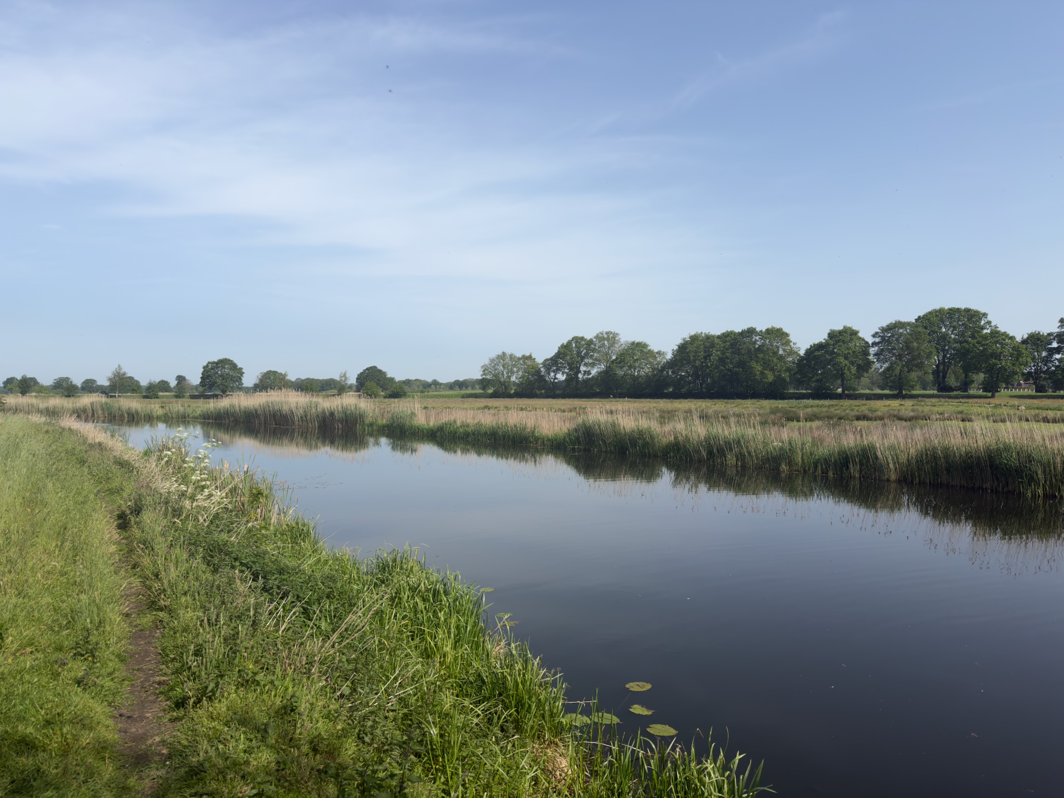 Broad calm river fringed with reeds, with a line of trees in the distance under a hazy sky