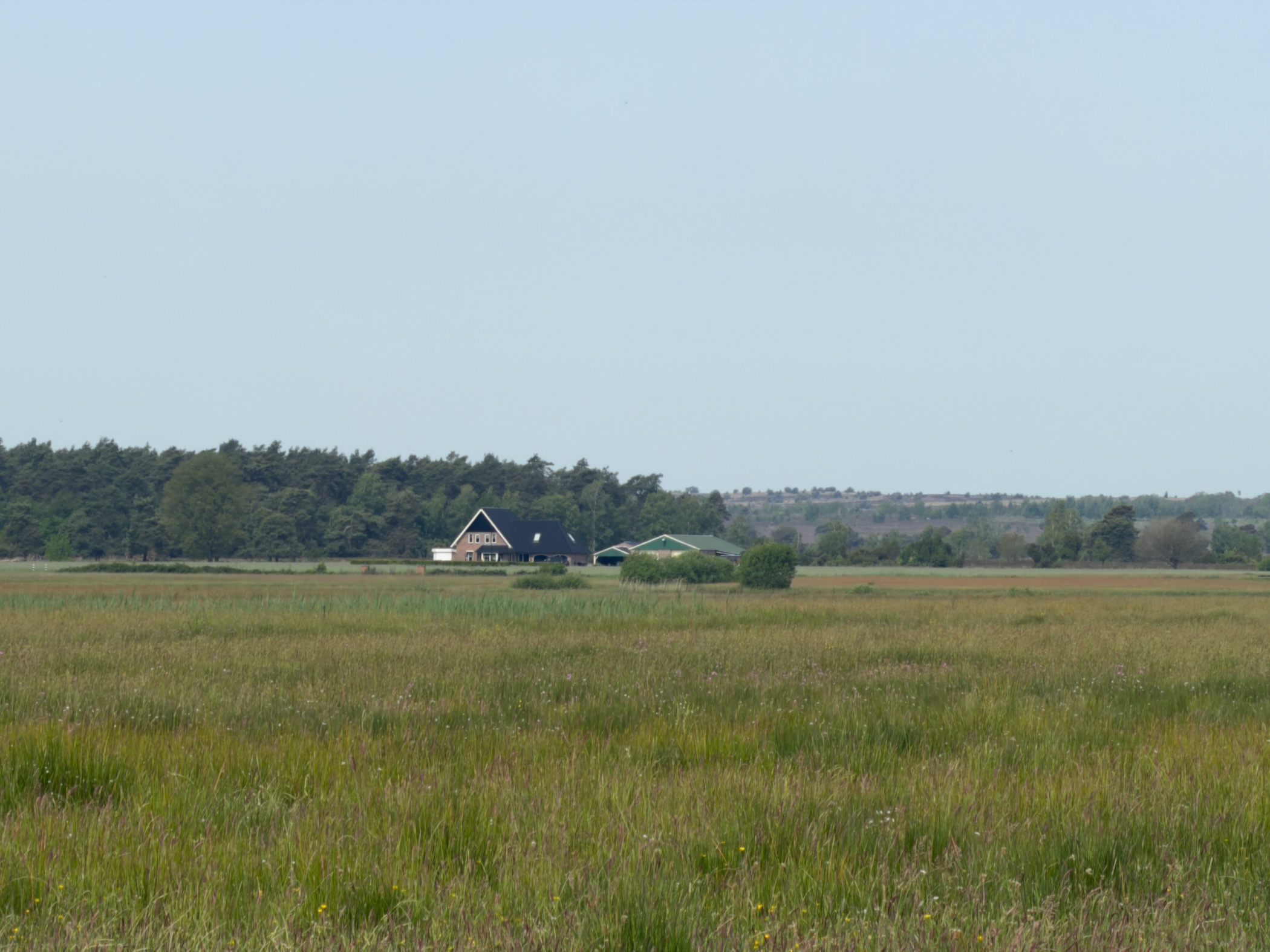 Marshy grassland with a farm and barn standing against the pine-fringed horizon