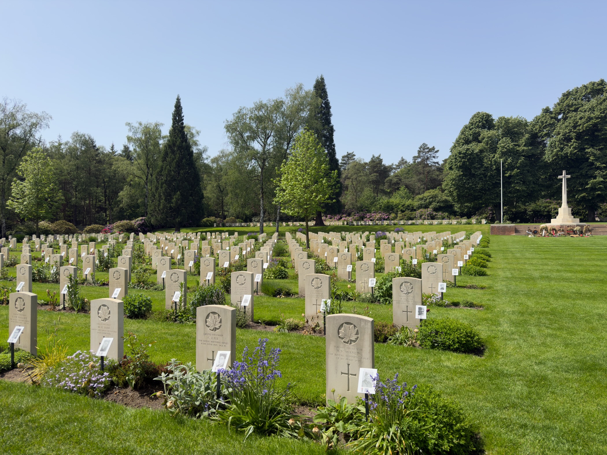 Headstones planted with flowers in front of the Cross of Sacrifice at Holten