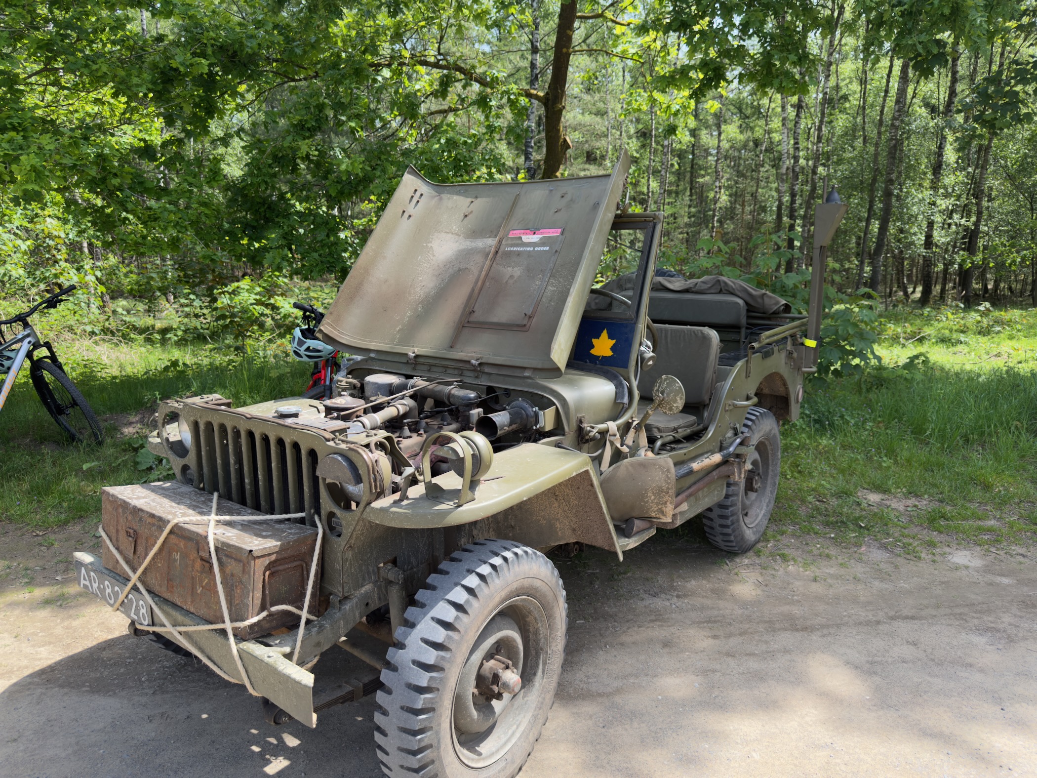 Restored Willys military jeep parked in the woods near the cemetery