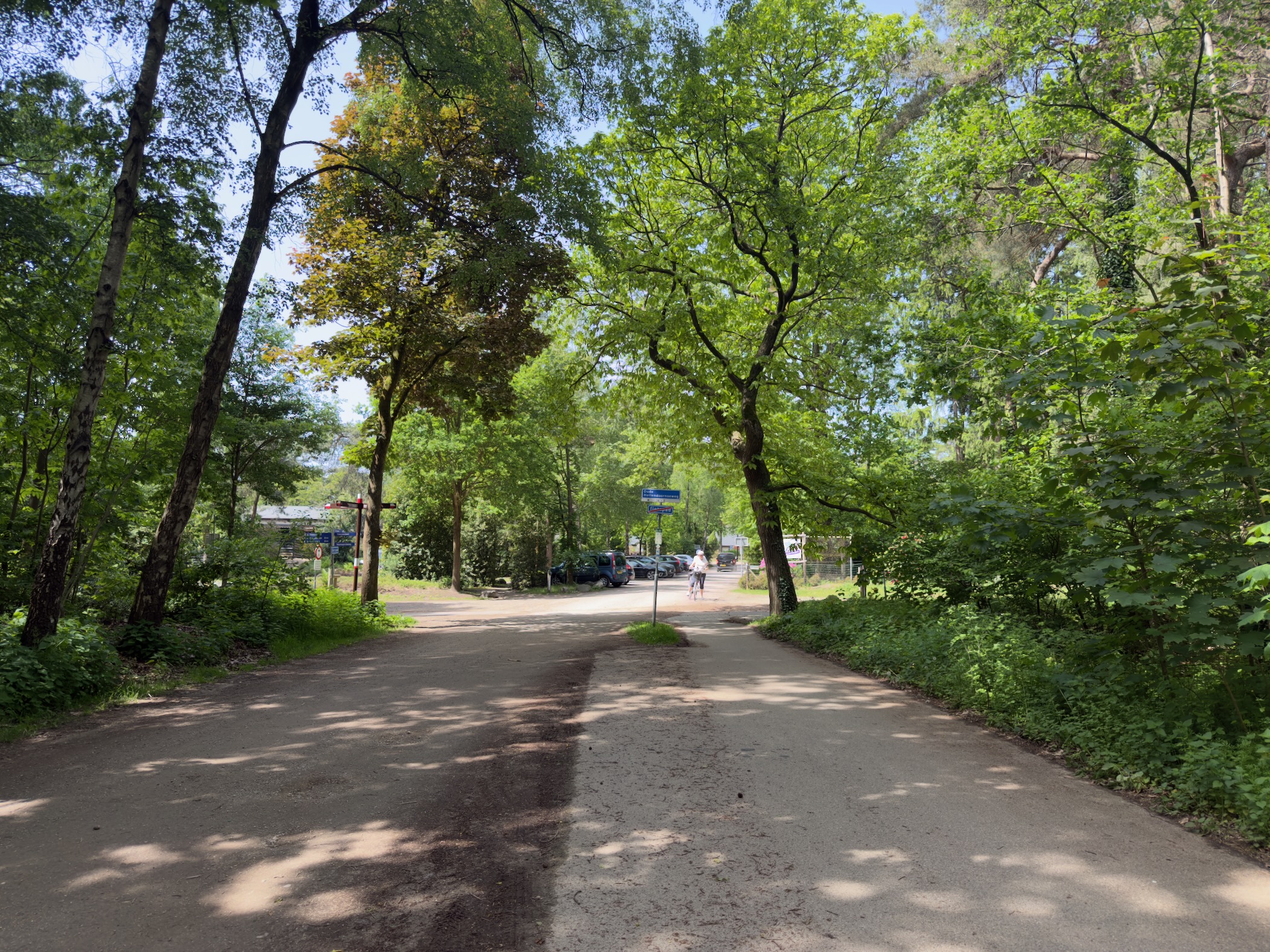 Quiet forest road approaching the car park at the edge of Holten, with people walking ahead