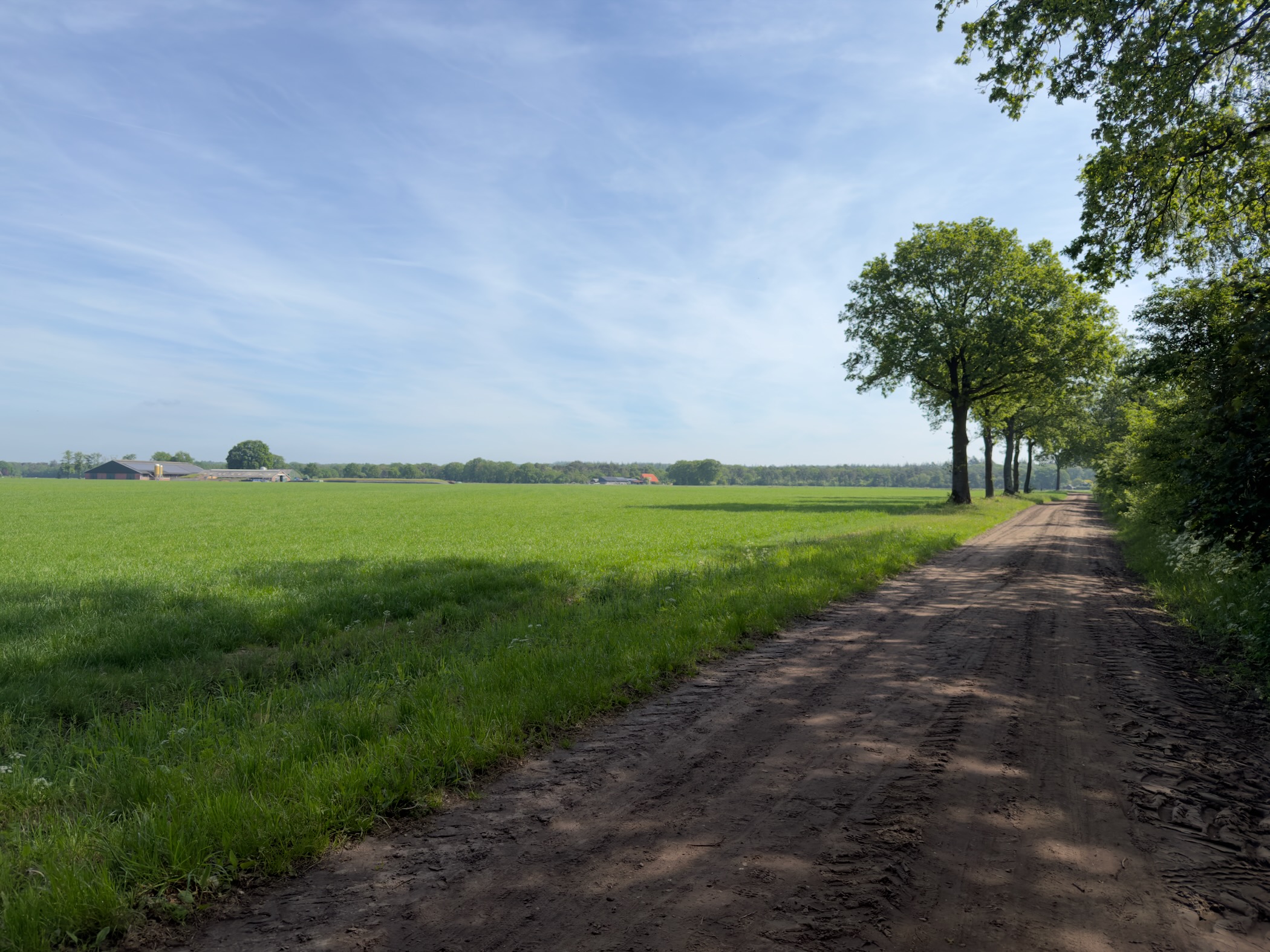 Sandy track skirting a wide green meadow with farm buildings on the horizon
