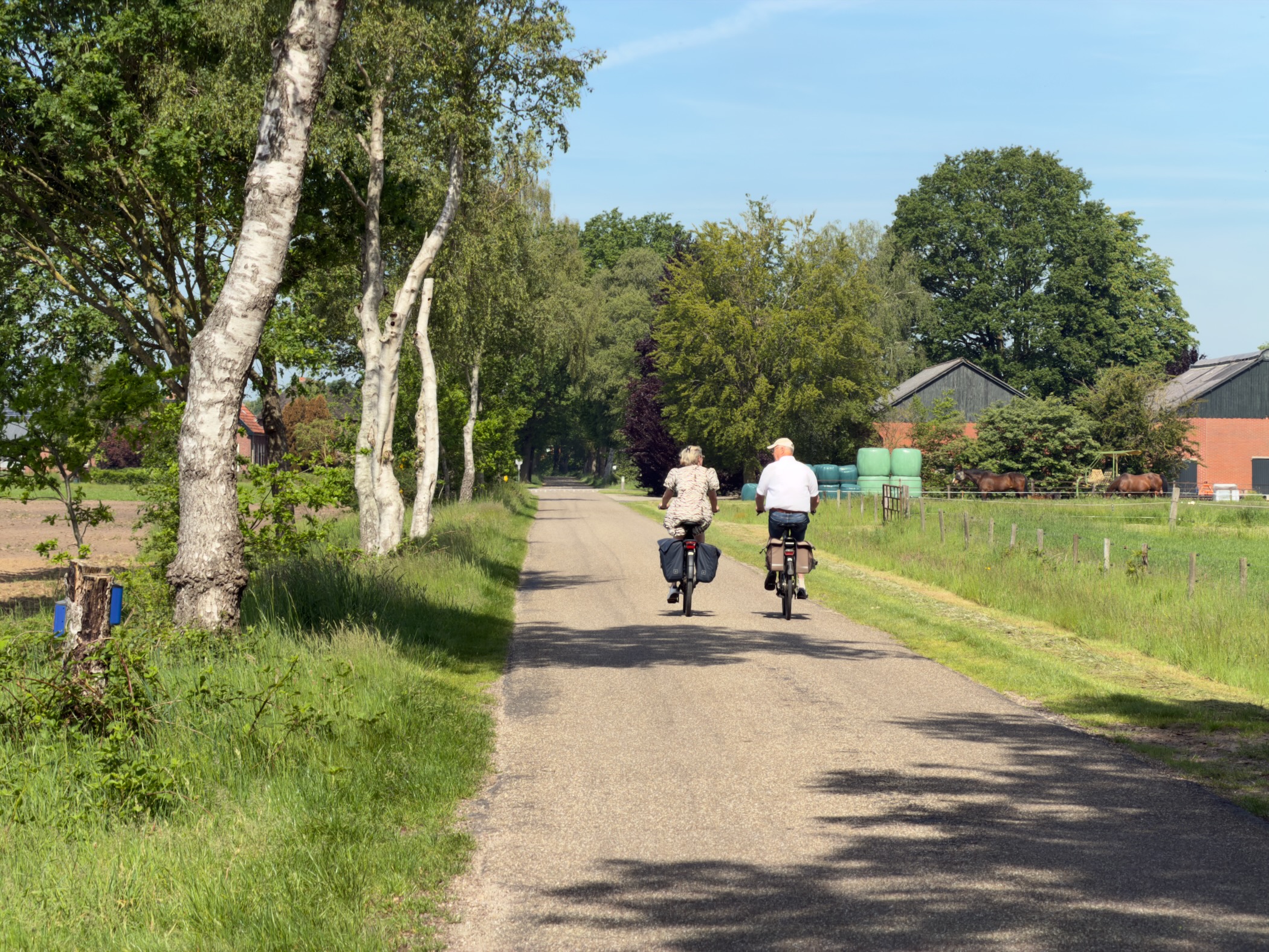 Two cyclists riding away down a tree-lined country road past a farm