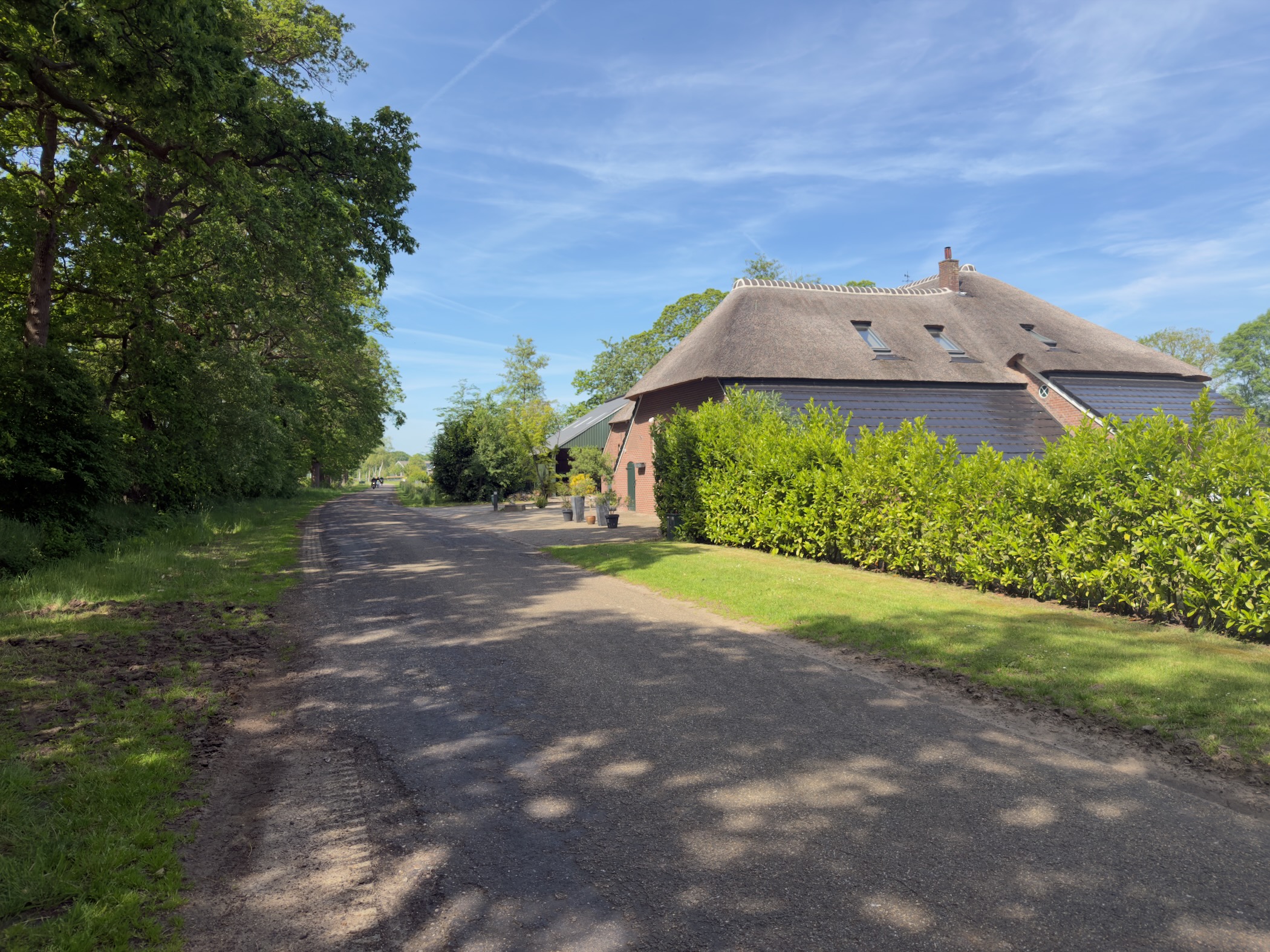 Traditional Saxon farmhouse with a tall thatched roof beside a quiet country lane