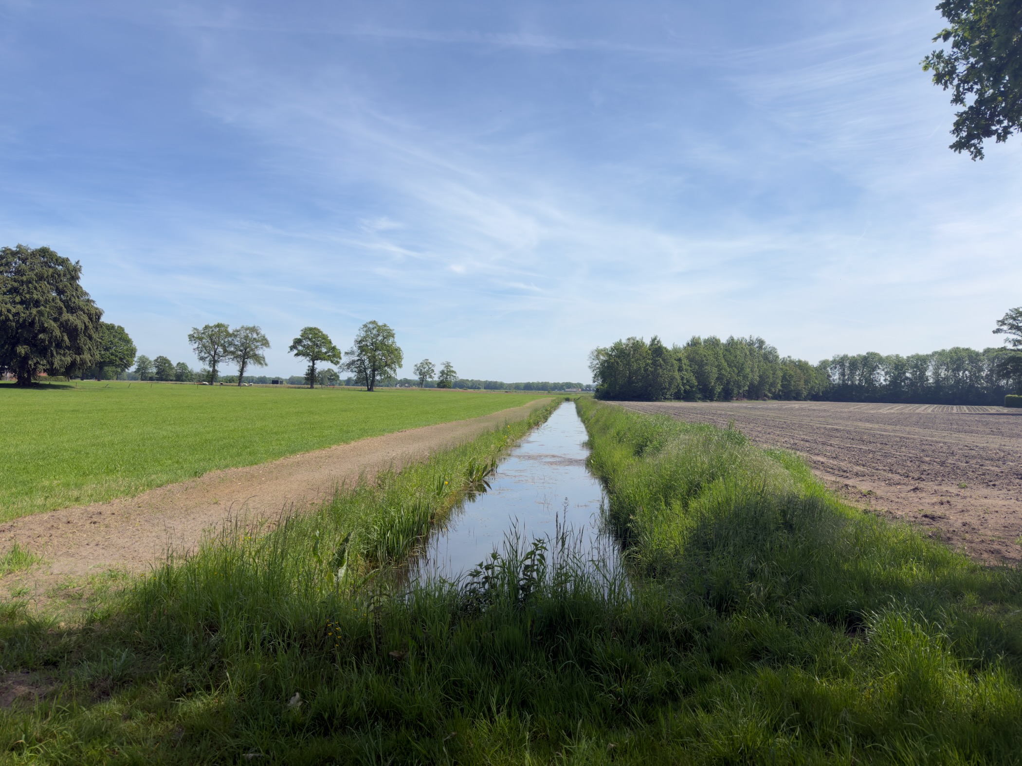 Straight drainage ditch running between a green meadow and a freshly tilled field