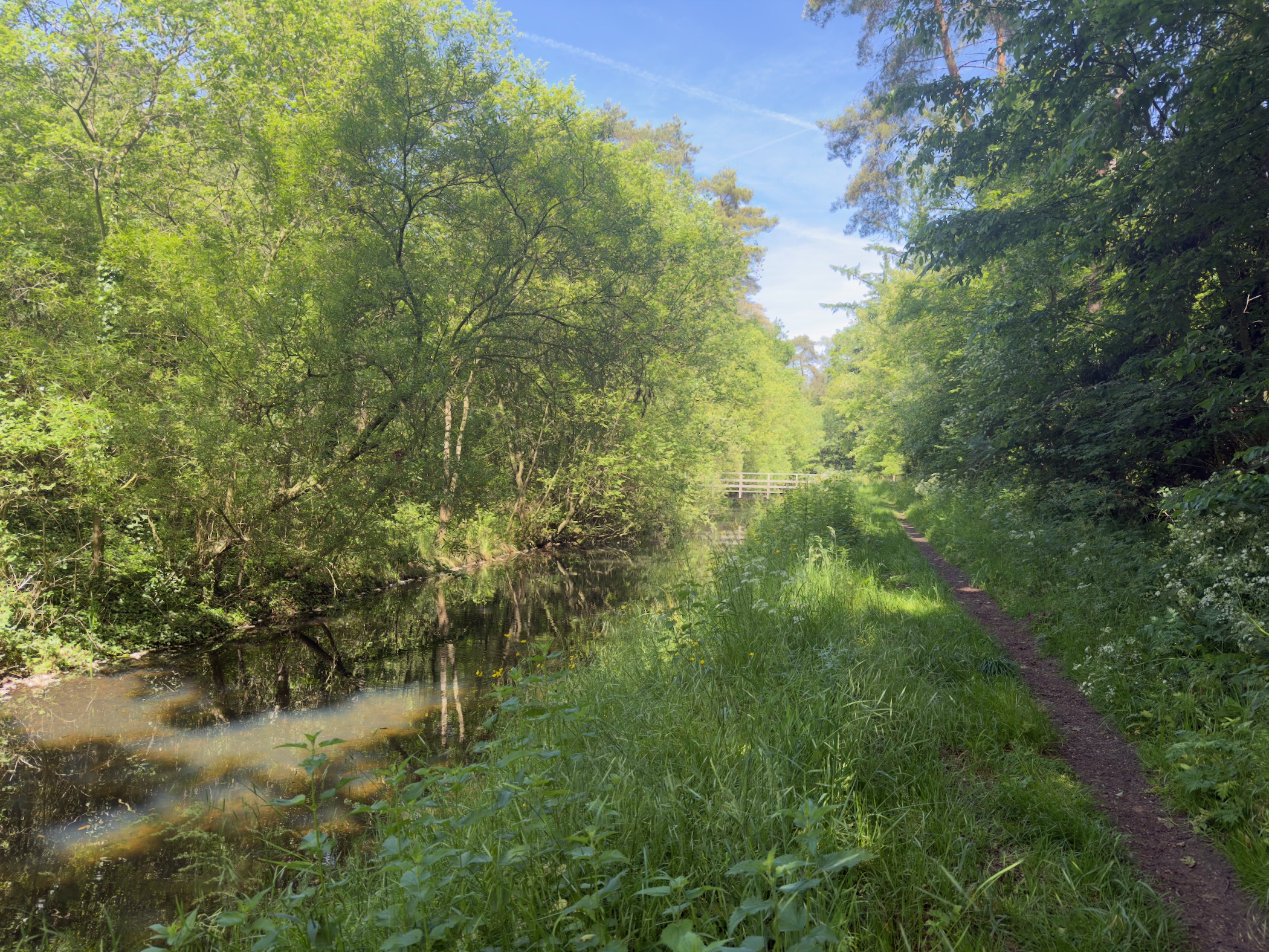 Footpath running along a small stream shaded by overhanging willows