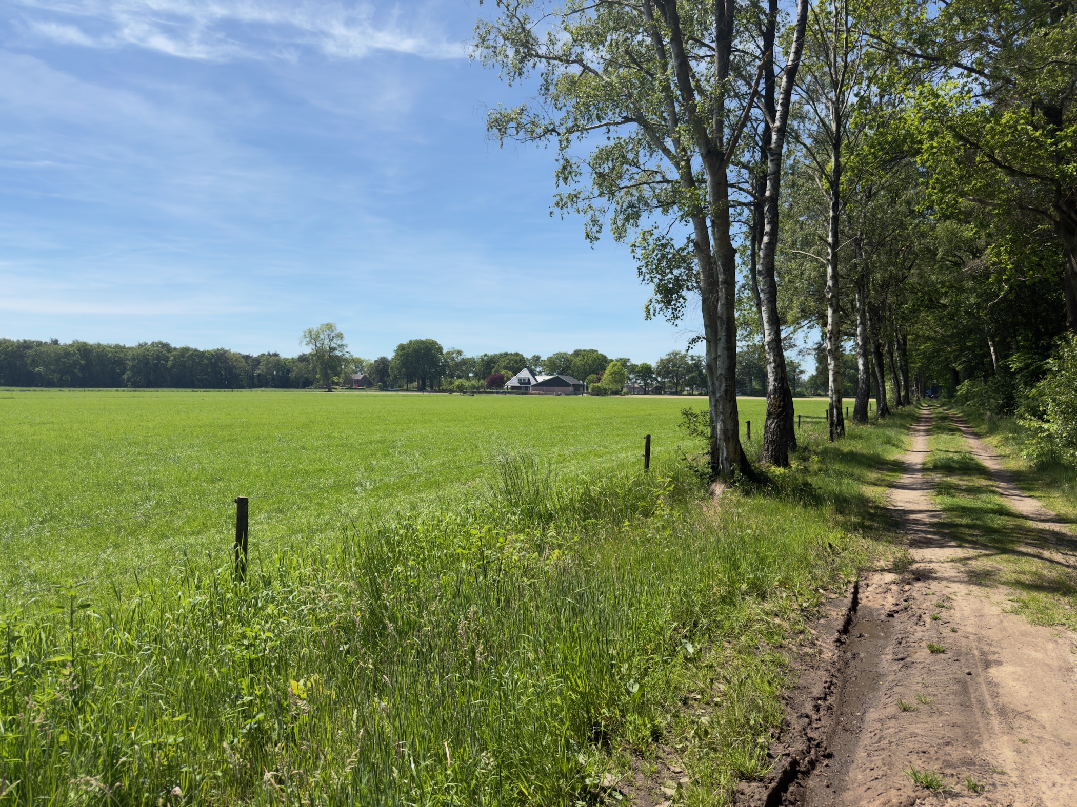 Sandy farm track running beside a wide green field with a farmhouse on the horizon