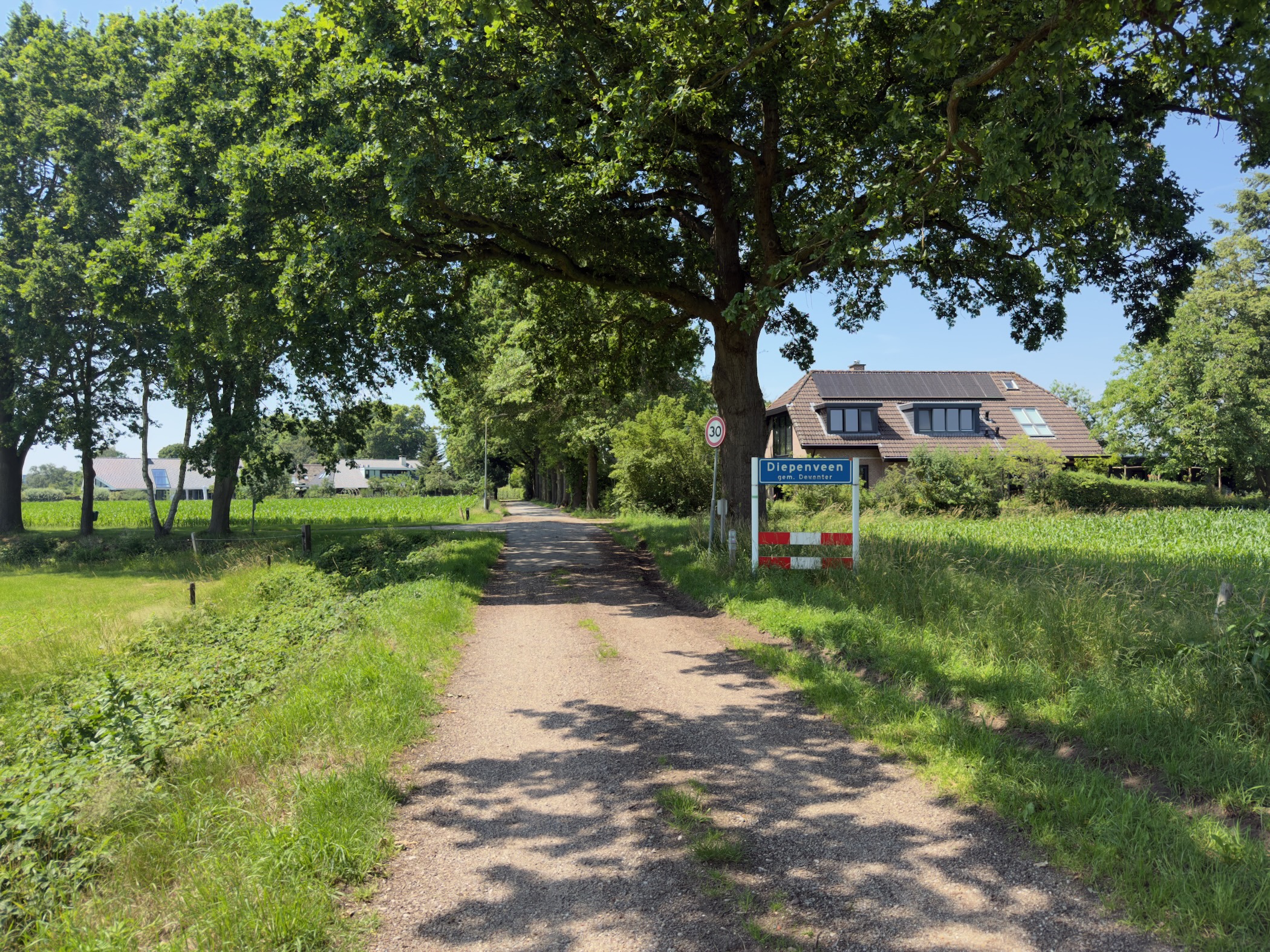 A gravel lane leading towards a farmhouse with solar panels, framed by mature trees.