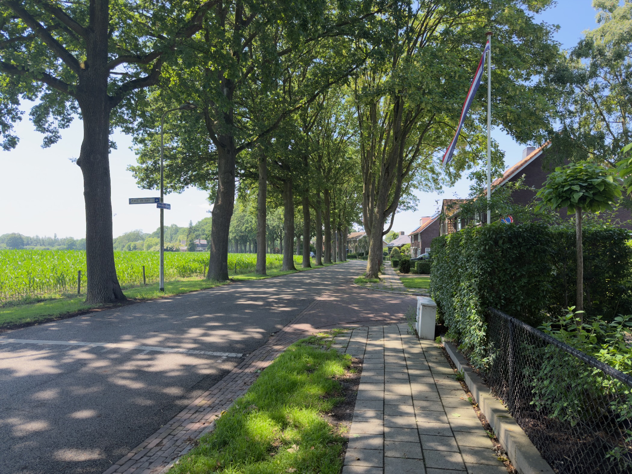 A tree-lined avenue with a footpath, houses and a Dutch flag on the right and fields on the left.