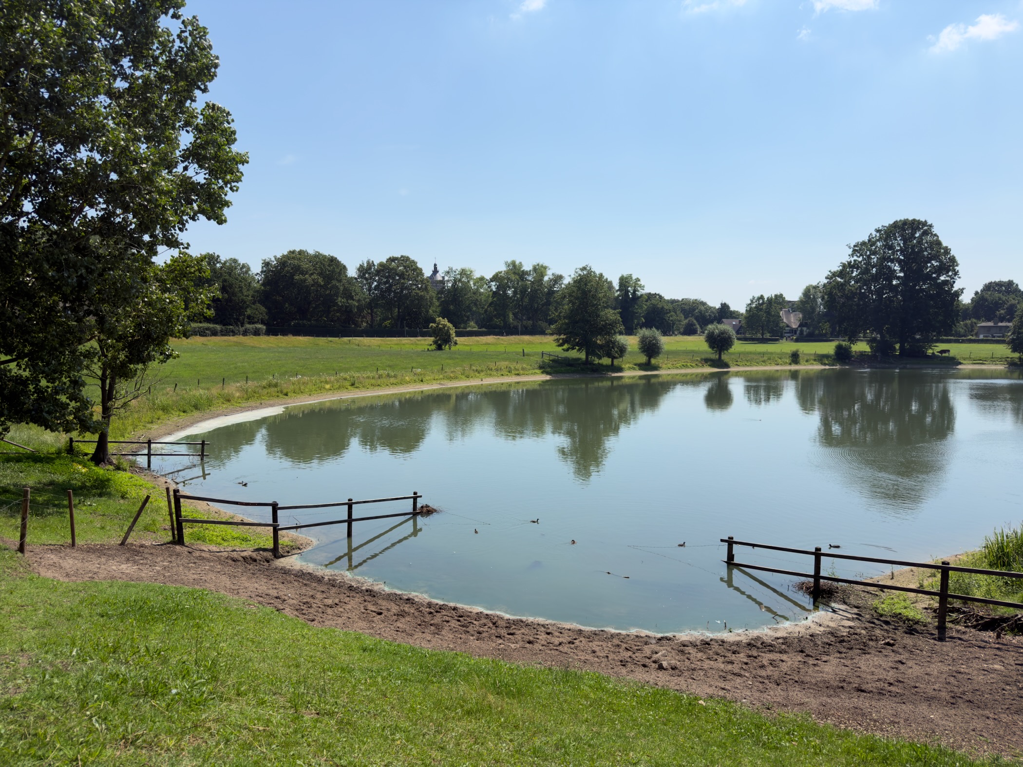 A pond edged with wooden fencing and ducks on the water, surrounded by grass and trees.