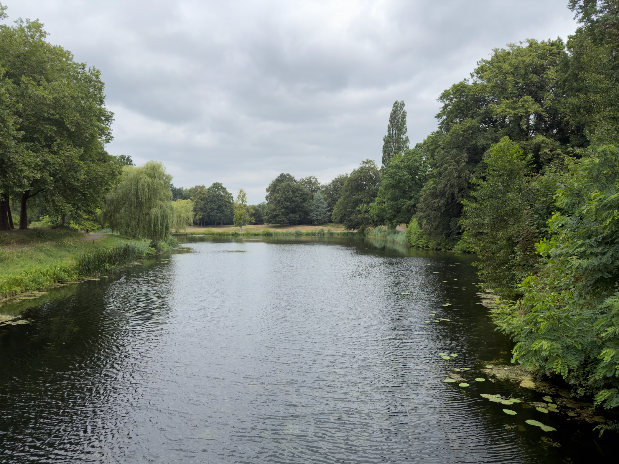 A calm park lake lined with willows and trees under a cloudy sky, with lily pads near the banks.