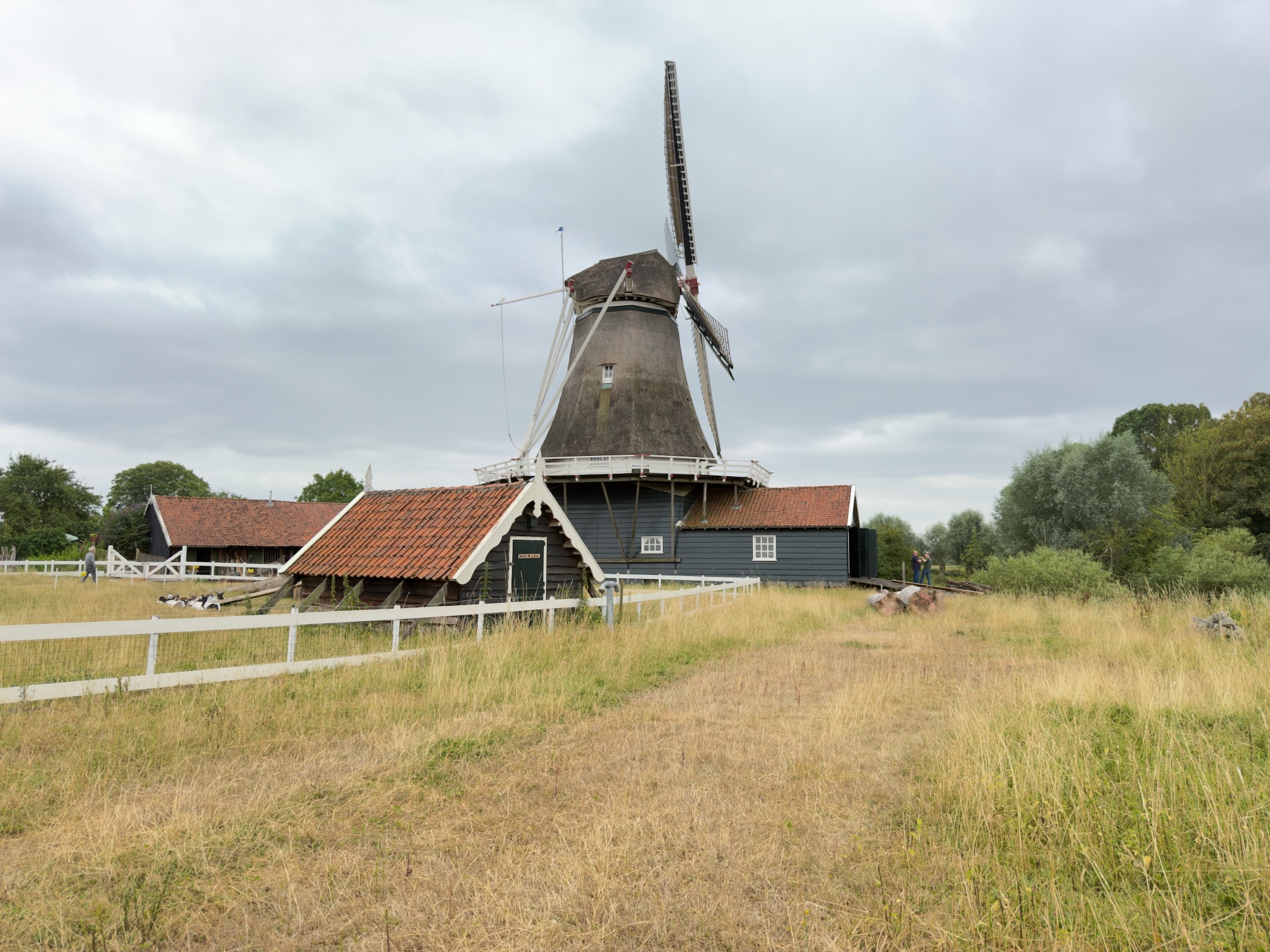 A traditional dark timber windmill with white sails and outbuildings on dry grass under a cloudy sky.