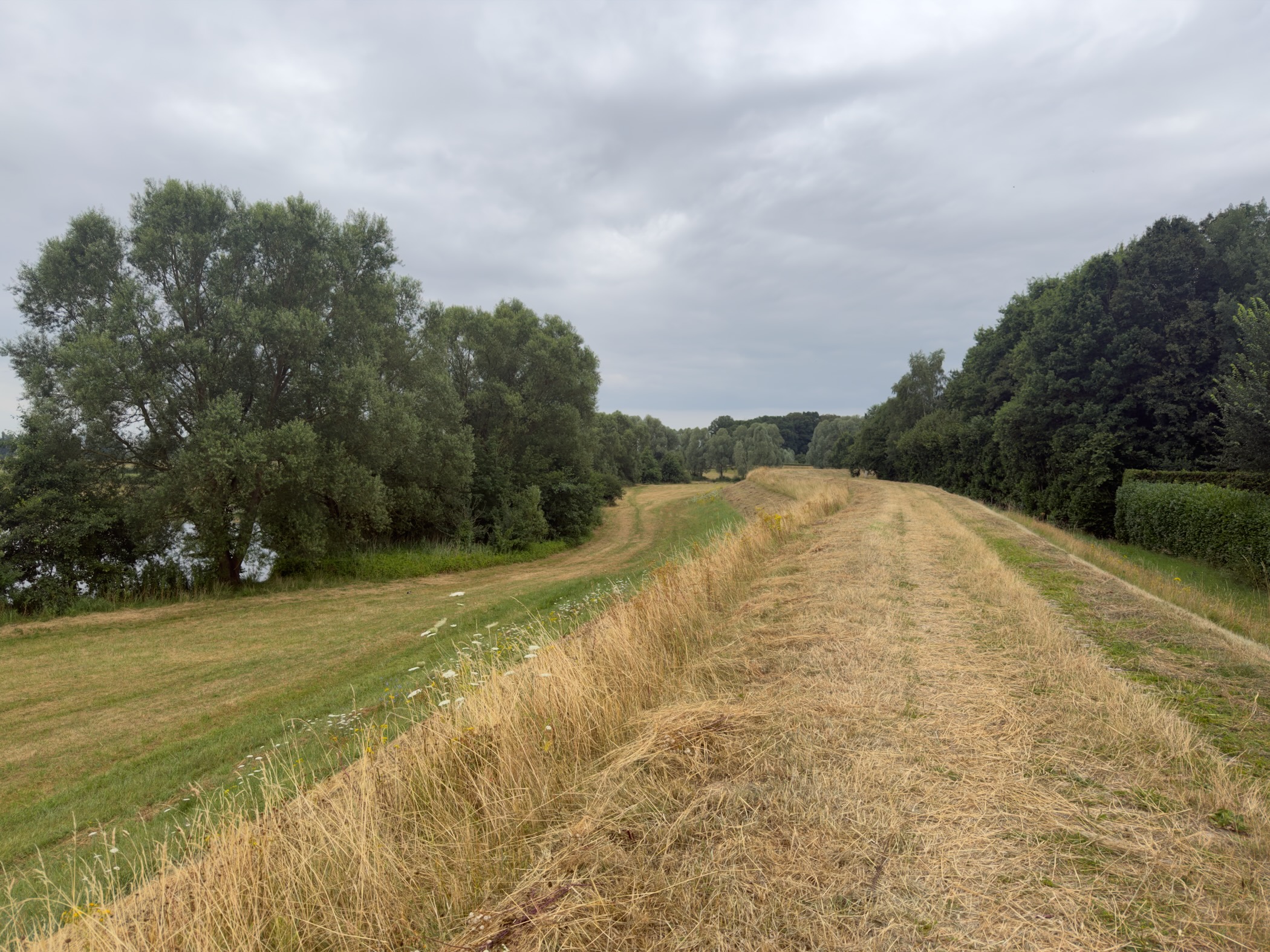 A mown grass dike path between willows and trees, with water on the left under a cloudy sky.