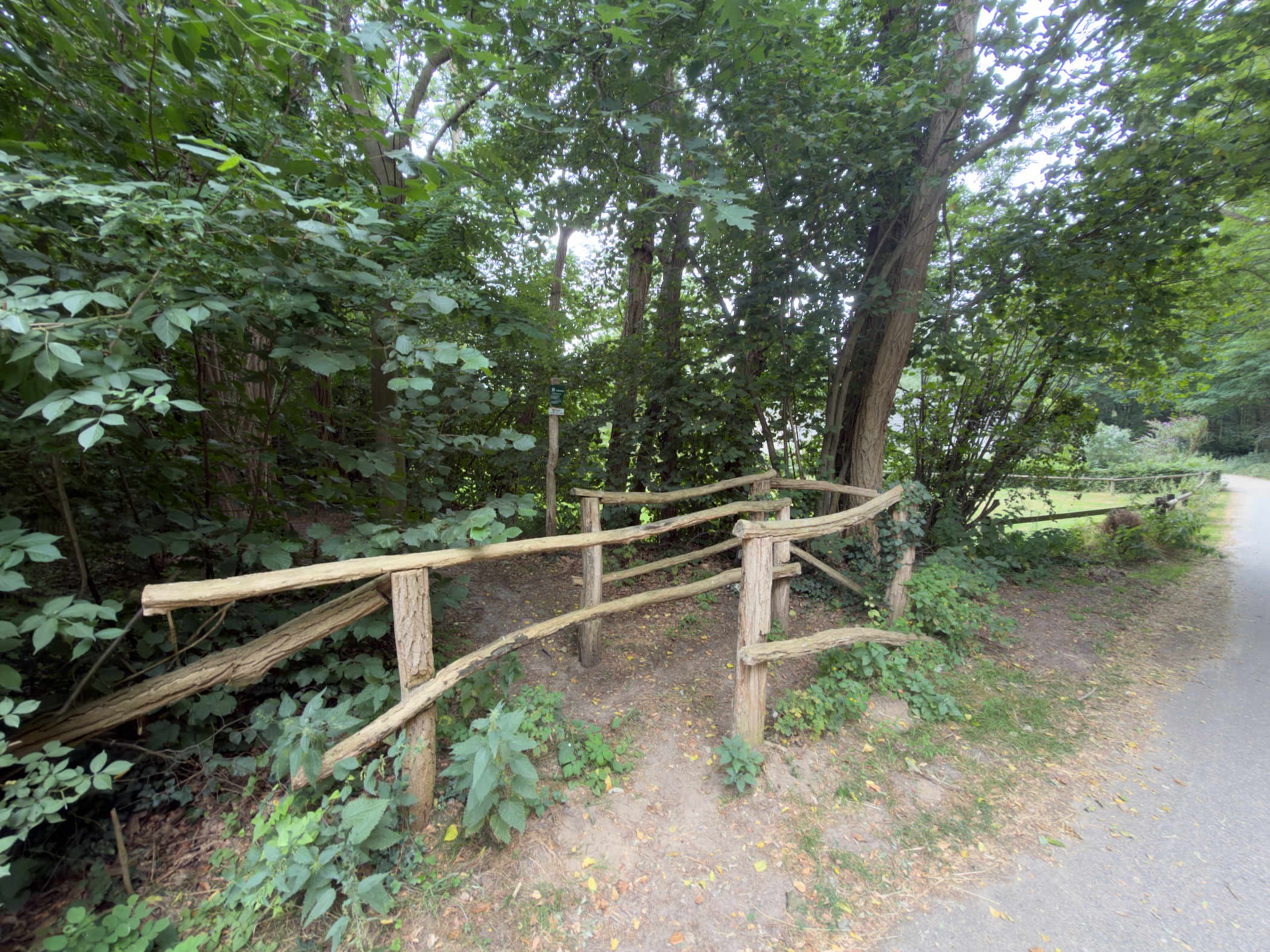 A rustic wooden handrail and trail marker at a woodland path entrance beside a paved road.