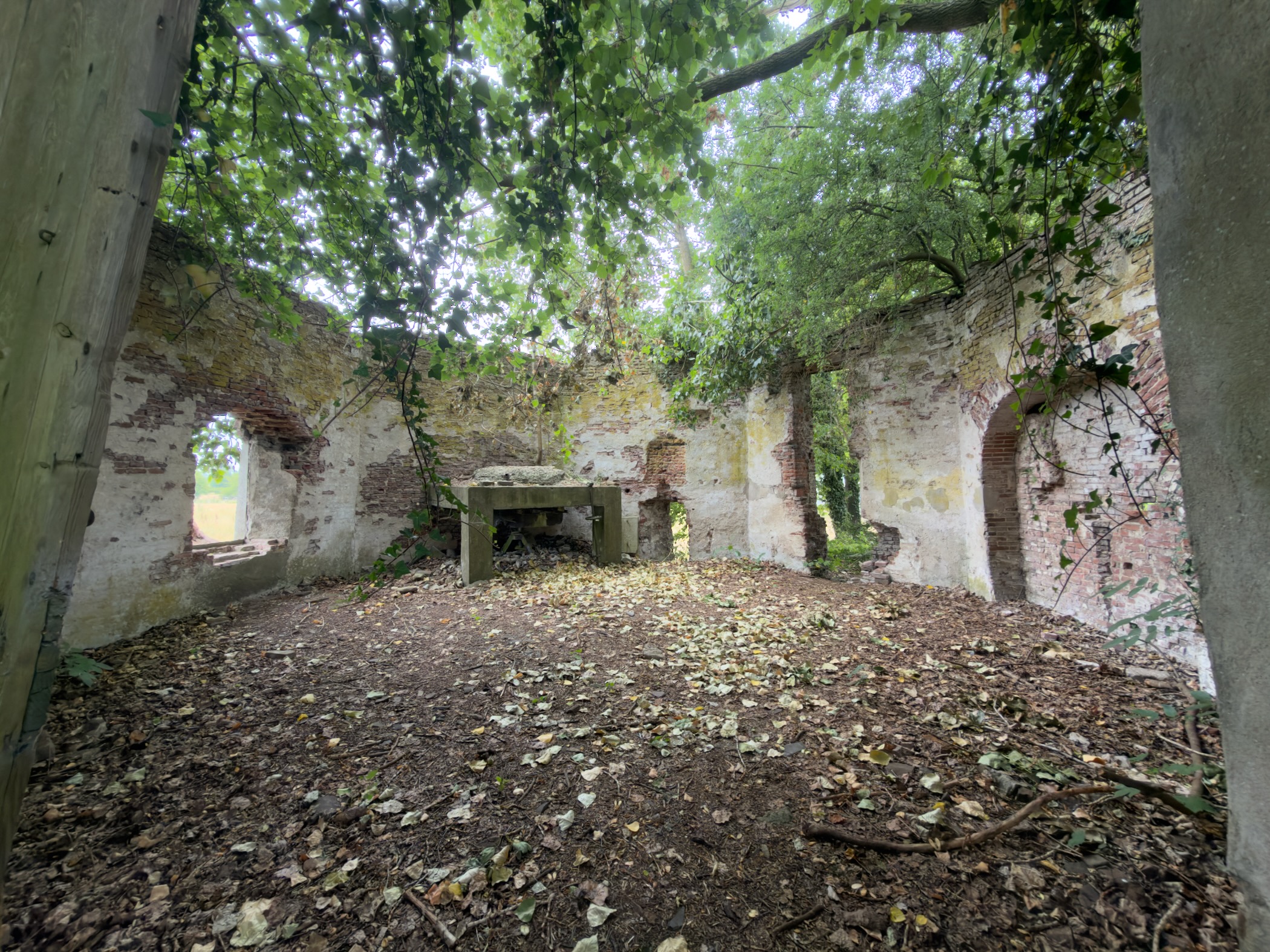 The roofless interior of a ruined brick building with peeling walls, a fireplace and a floor of leaves.