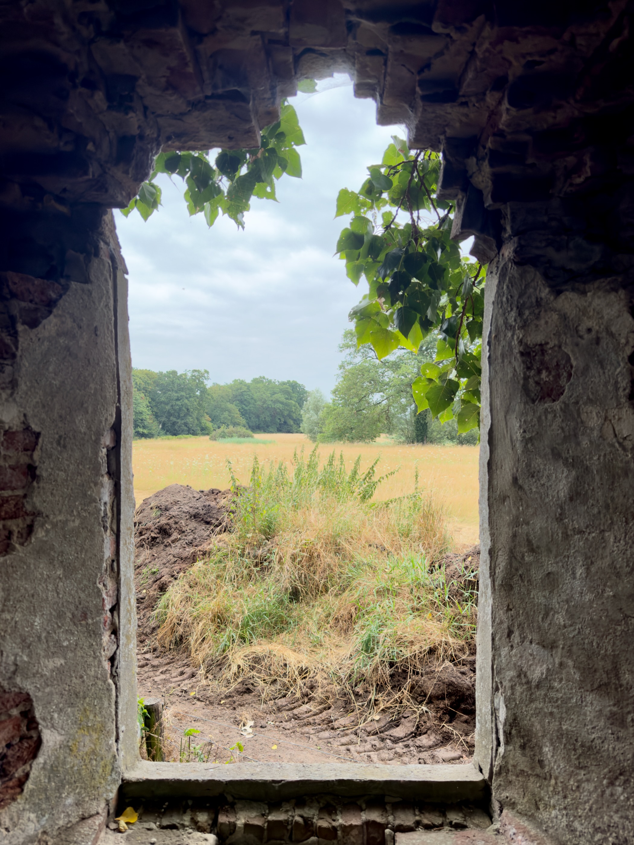 A golden meadow and trees seen through a crumbling brick window opening of a ruin.