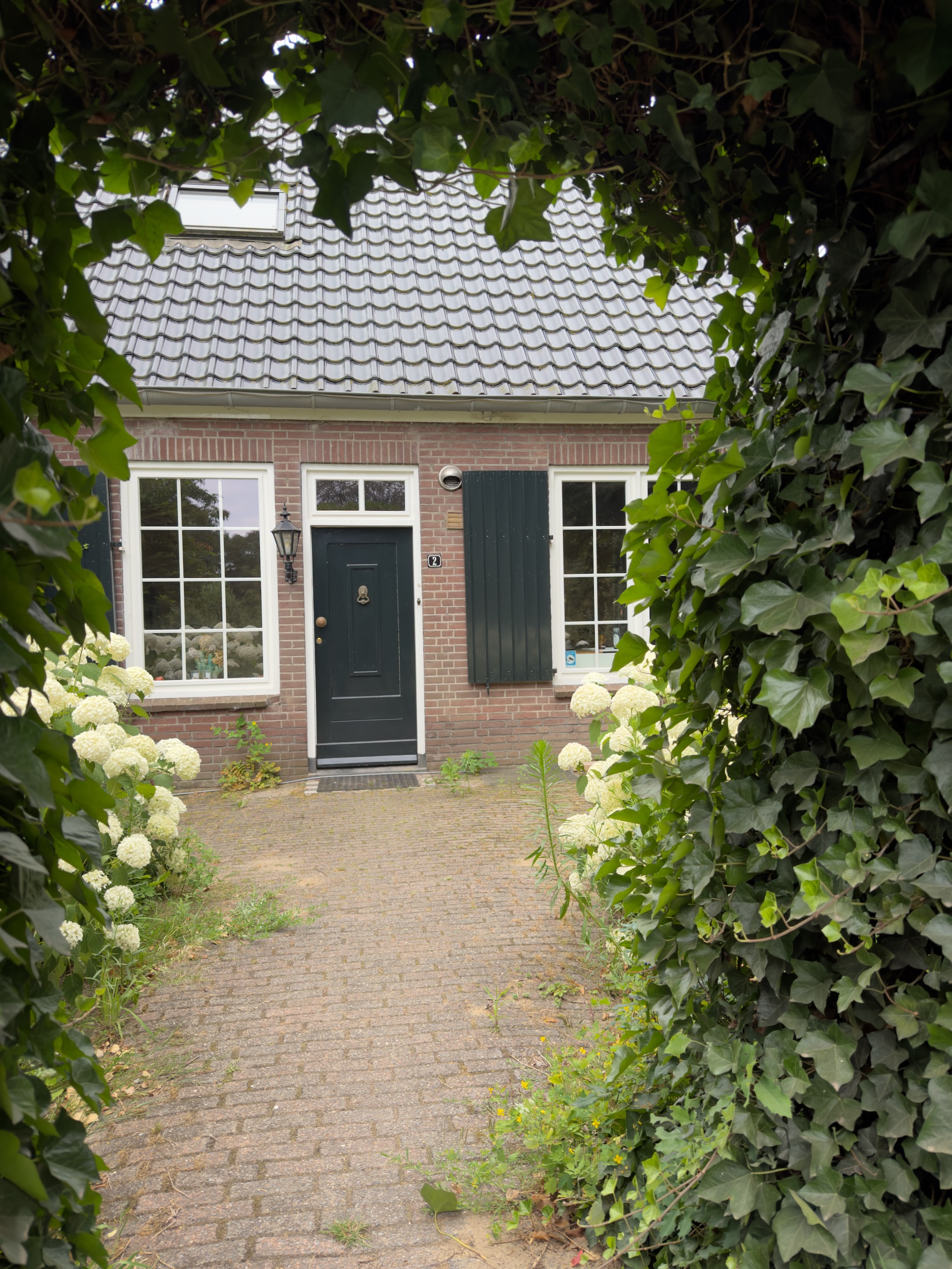 A brick cottage with a dark green door and white hydrangeas, framed by an ivy-clad archway.
