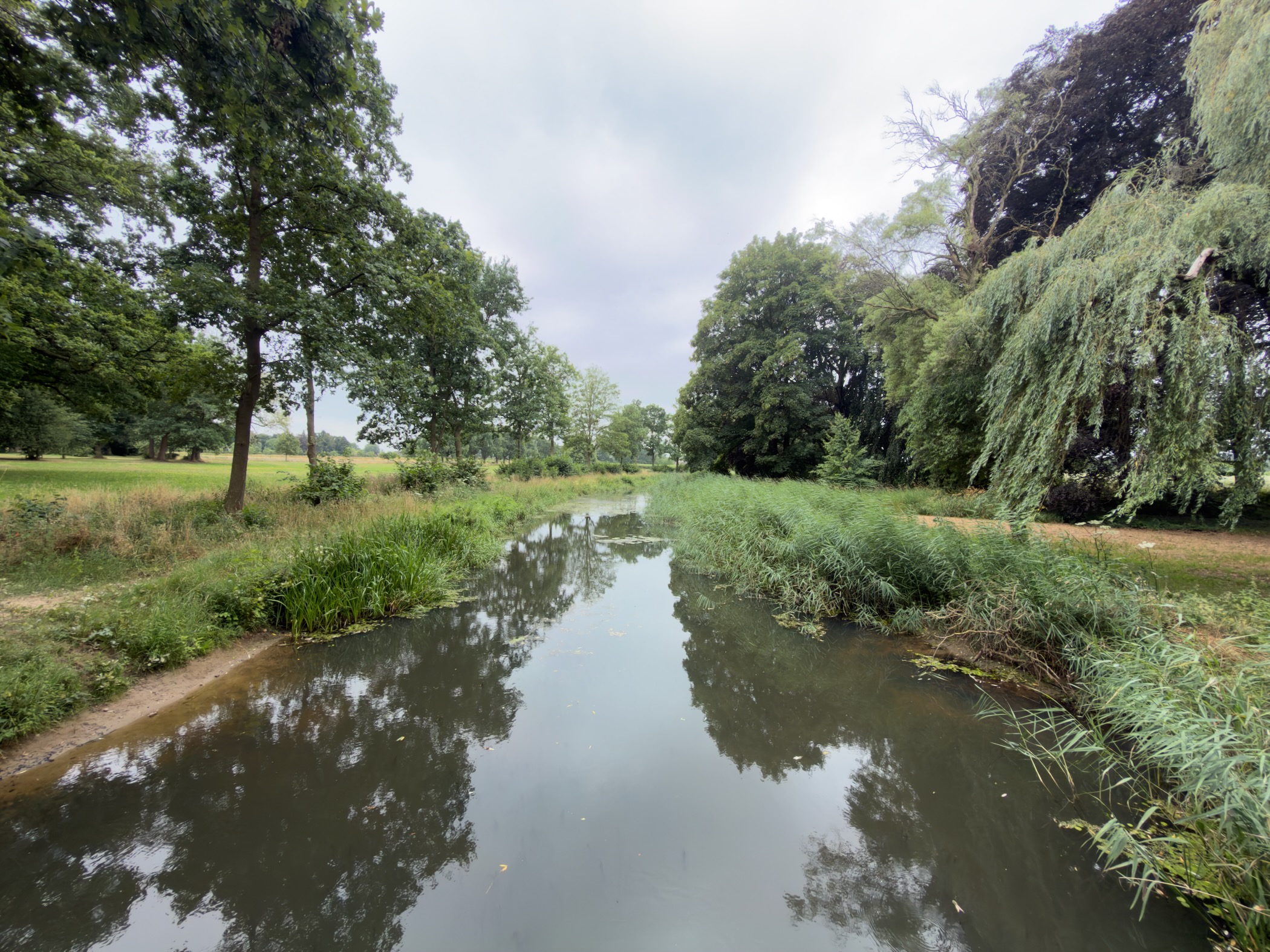 A calm reed-lined canal reflecting trees, with parkland on the left and a weeping willow on the right.