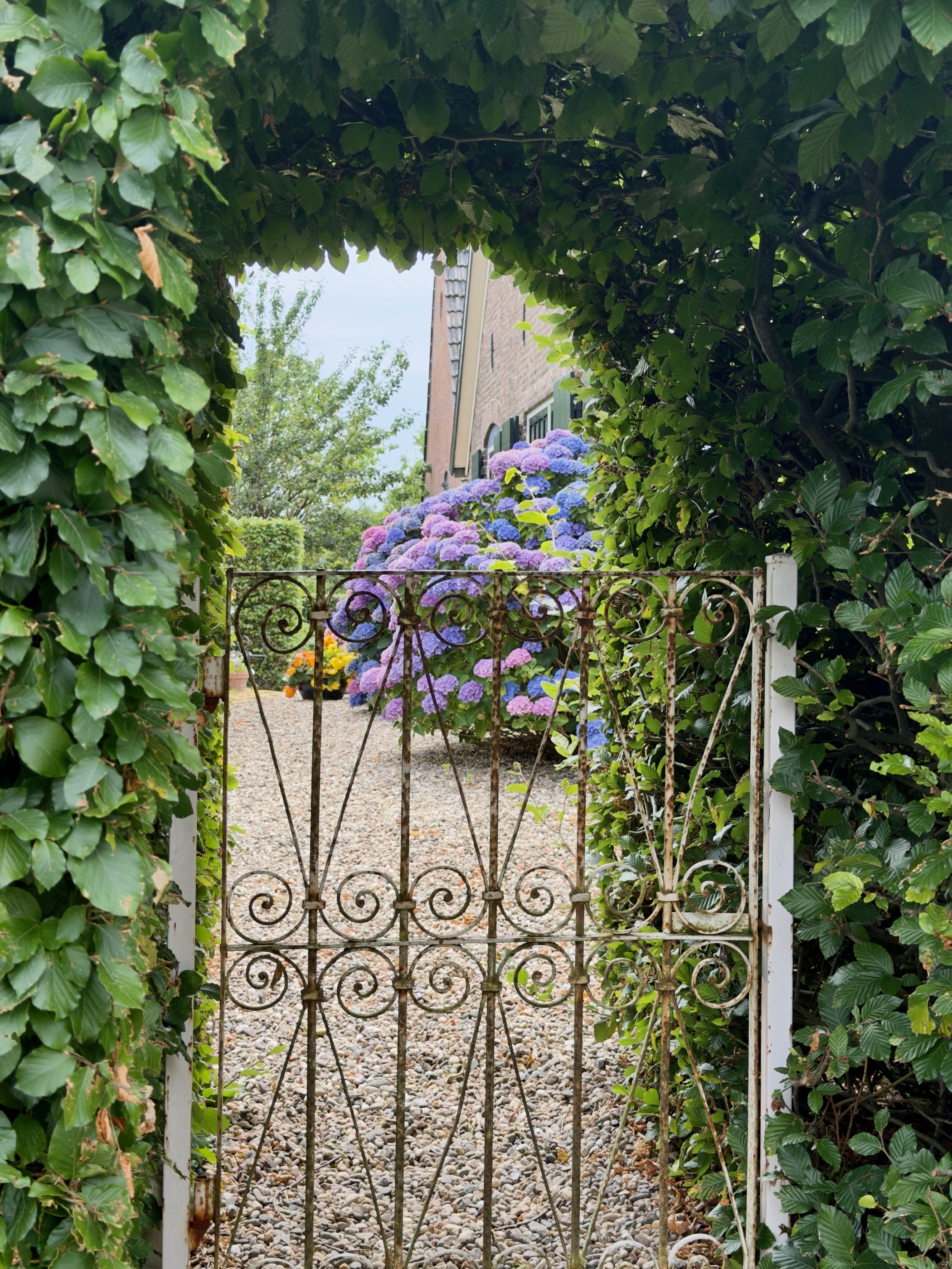 An ornate metal gate under a leafy arch, opening onto blue and pink hydrangeas and a brick farmhouse.