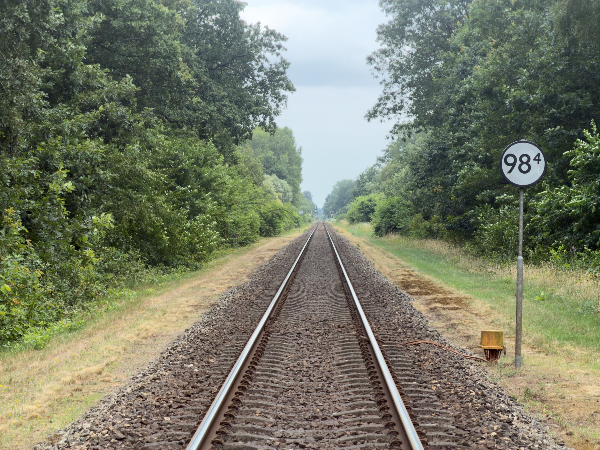 A single railway track running straight between trees, with a white kilometre post marked 98.4.
