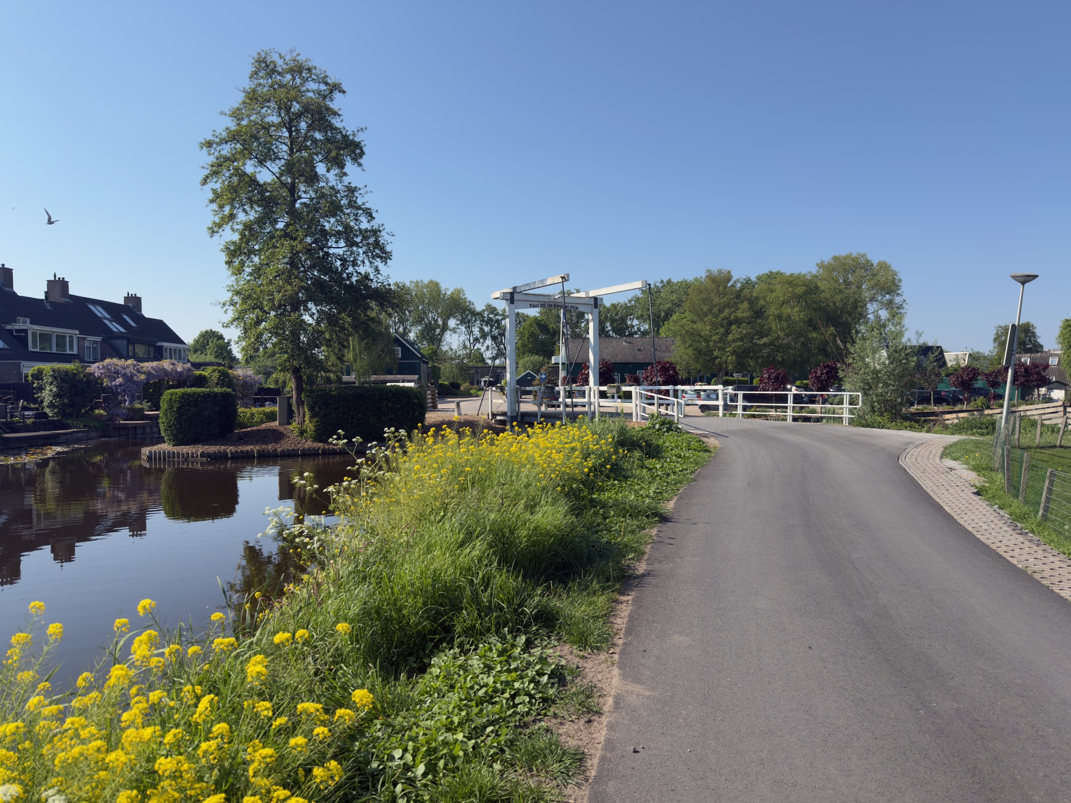 White wooden drawbridge over a canal with yellow wildflowers in the foreground