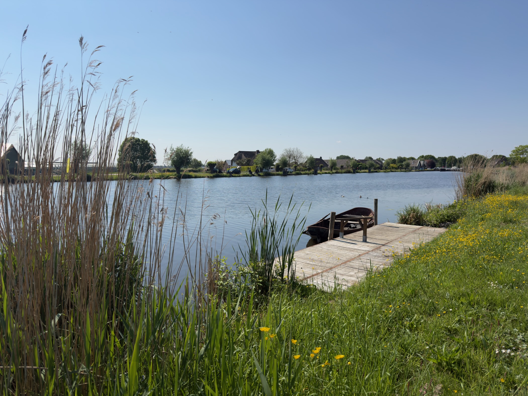 Wooden jetty with a small boat on a calm pond, dandelions and reeds in the foreground