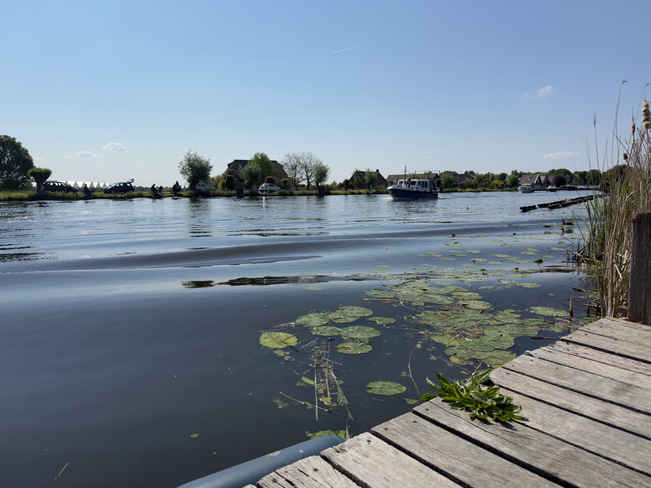 View across a wide stretch of the Amstel with lily pads in the foreground and houses on the far shore