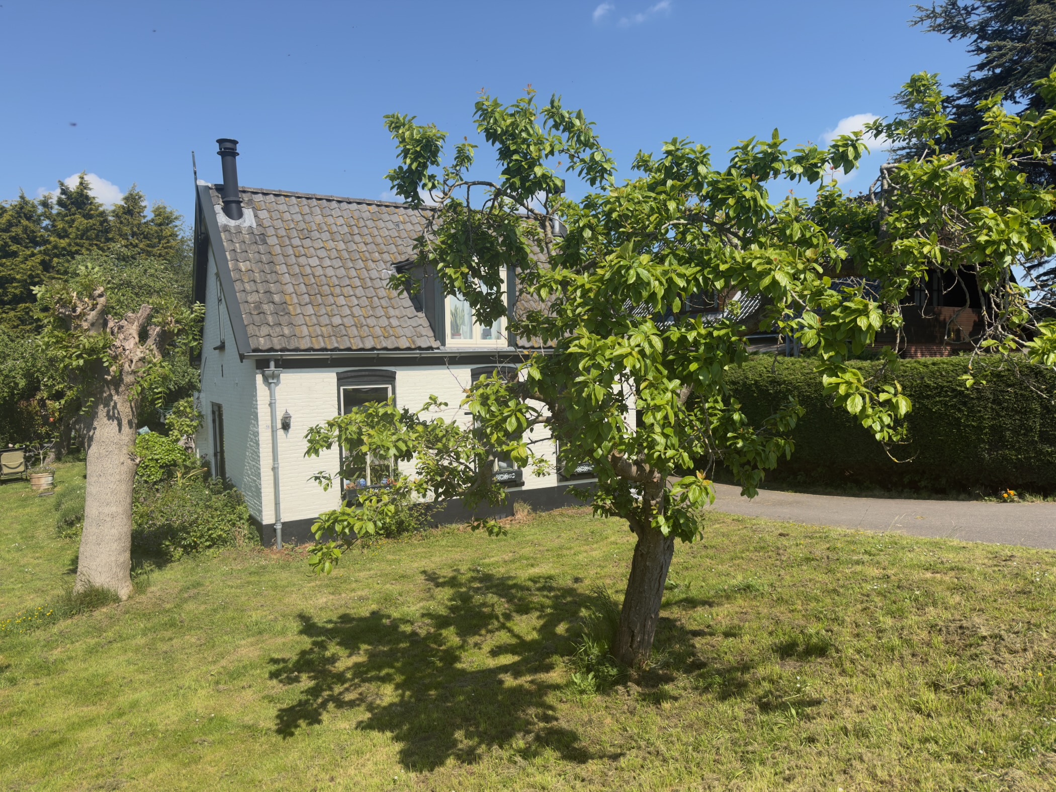 Small white cottage with a small apple tree in the front garden