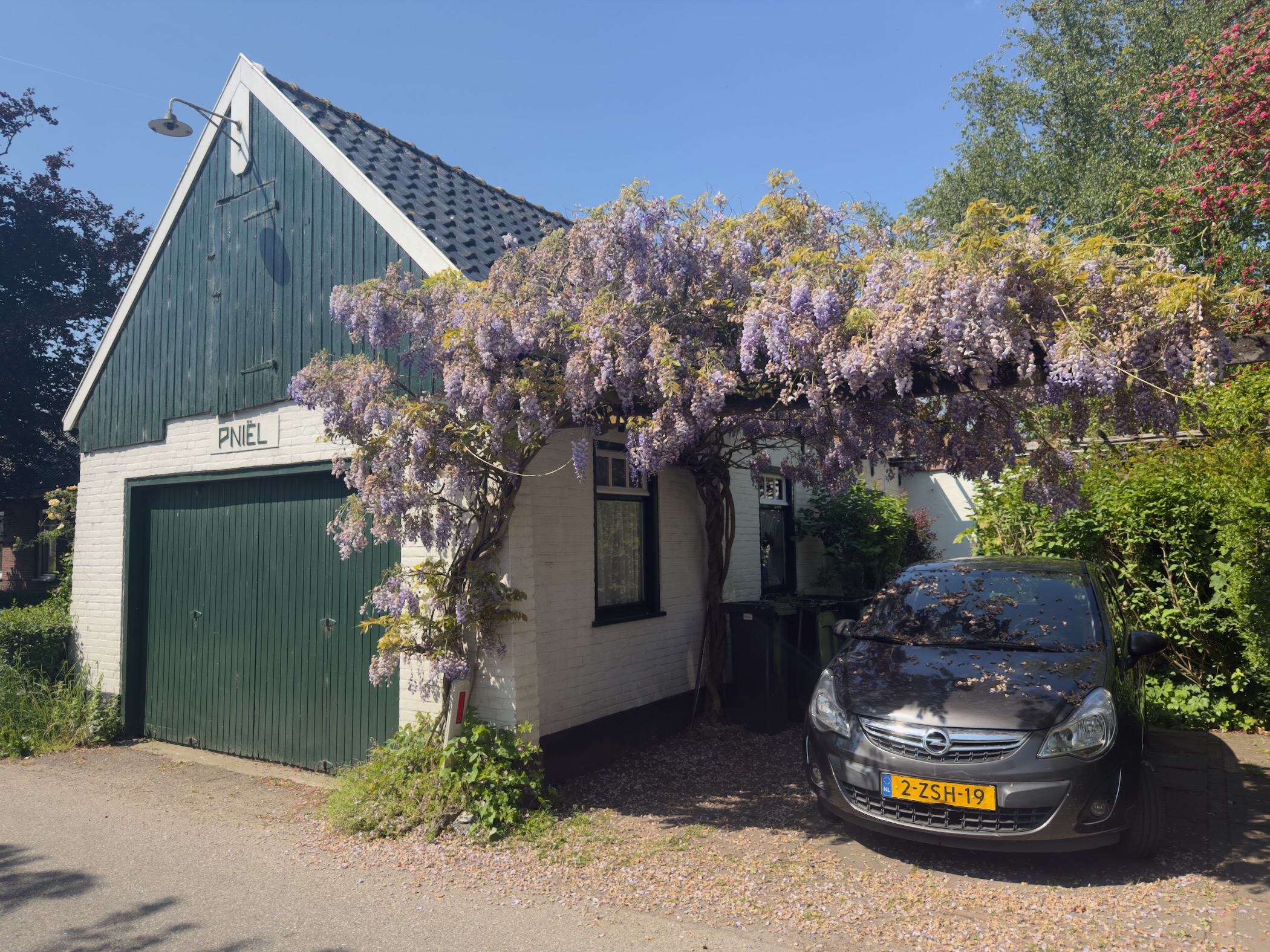 House and garage smothered in cascading purple wisteria, with a black car parked beside