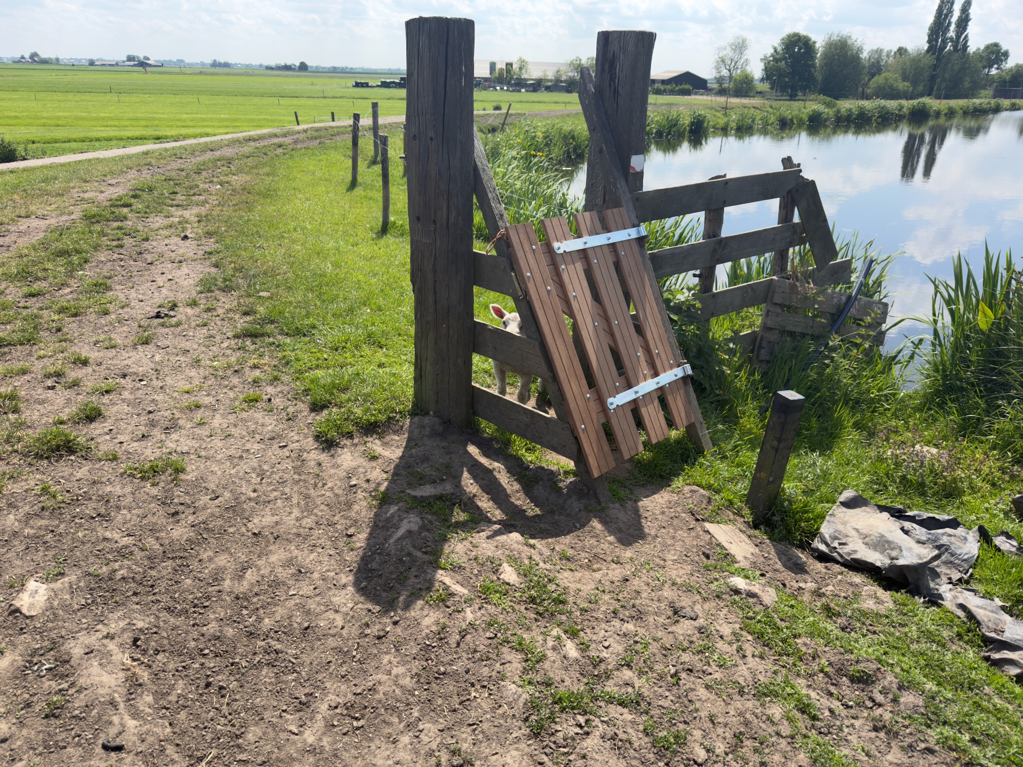Wooden kissing gate at the edge of a polder track beside a quiet canal