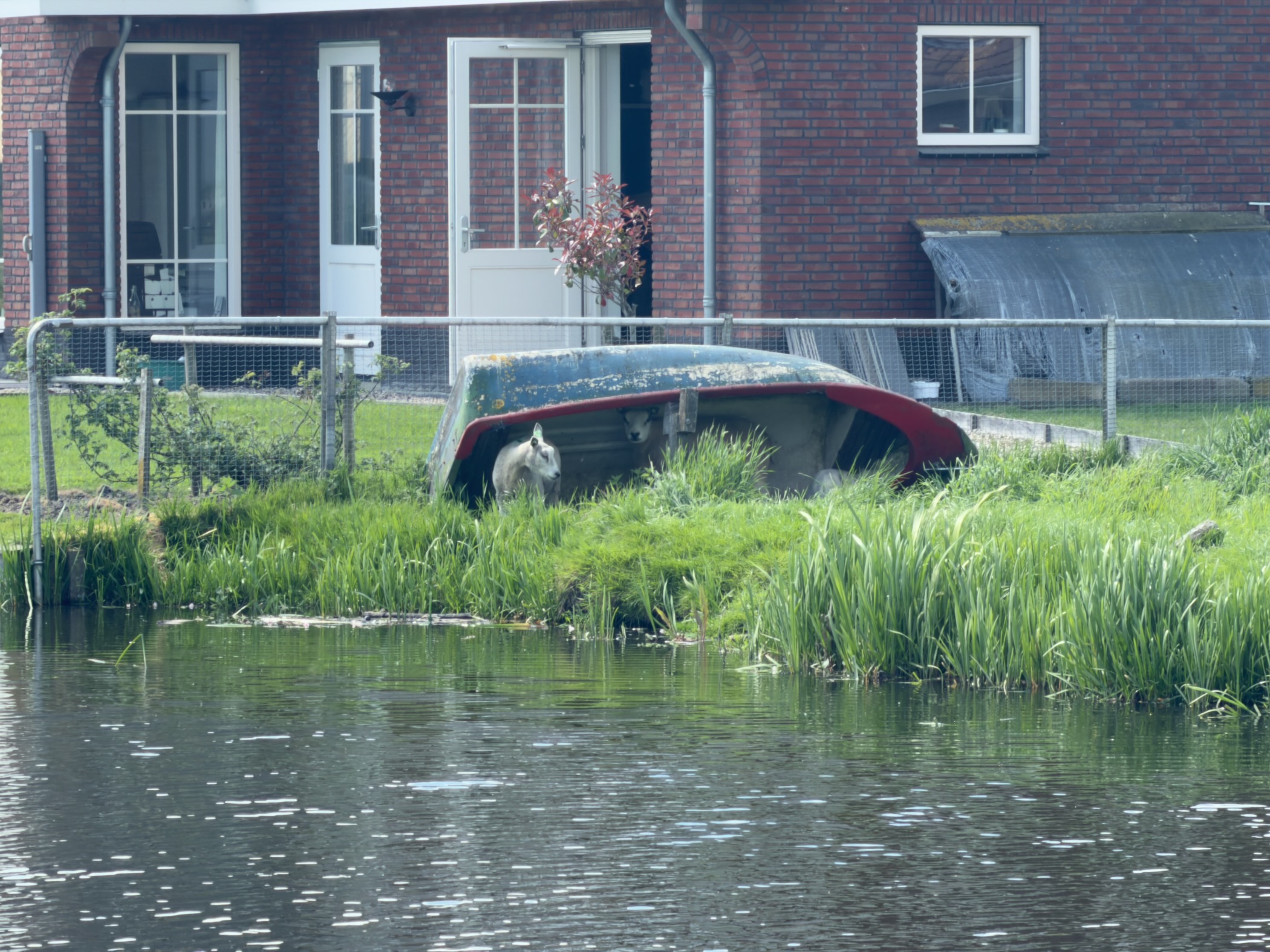 Capsized rowing boat resting on the bank in front of a brick house