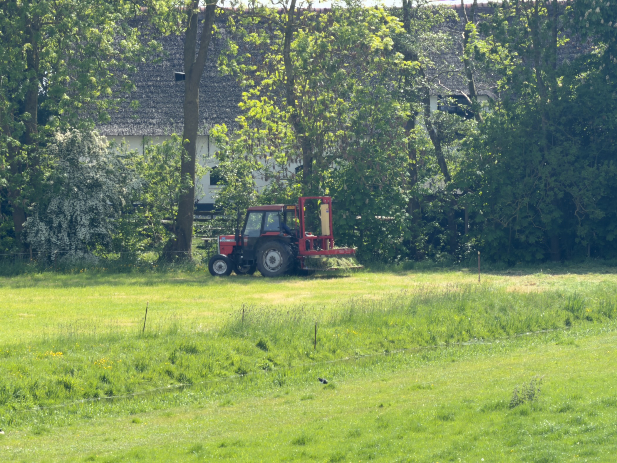 Red tractor mowing a meadow in front of a farmhouse half hidden behind trees