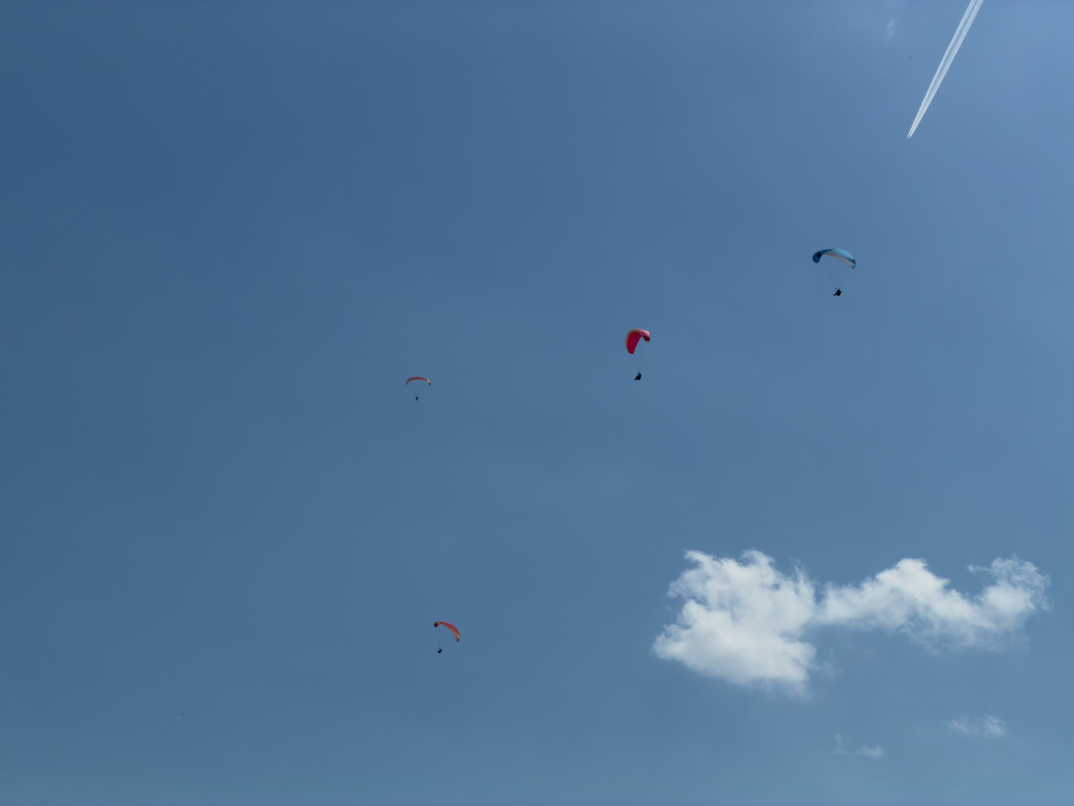 Three paragliders with red, orange and blue canopies drifting against a clear blue sky with a single cloud and a contrail